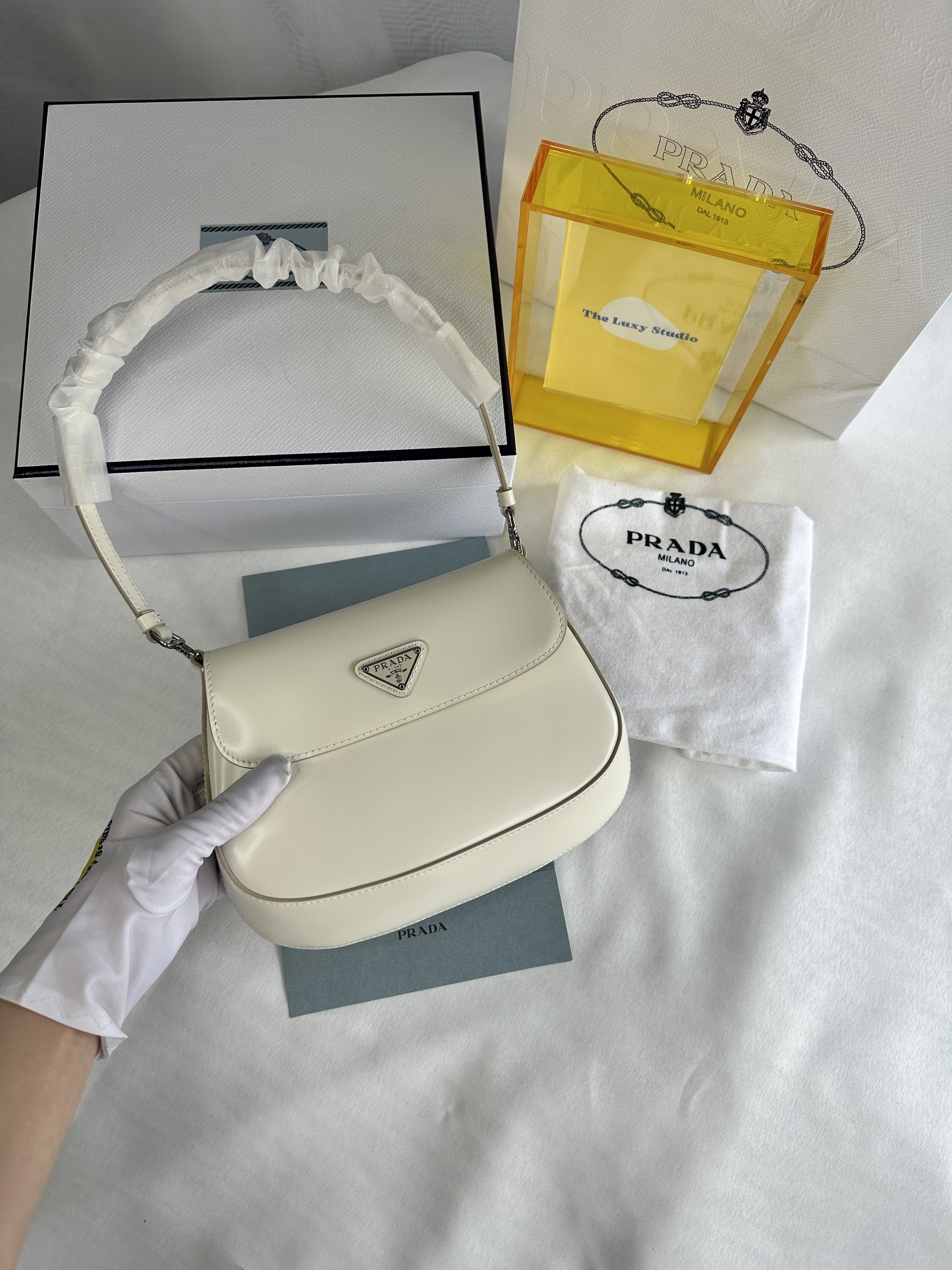 IMG_7494-1741611477544