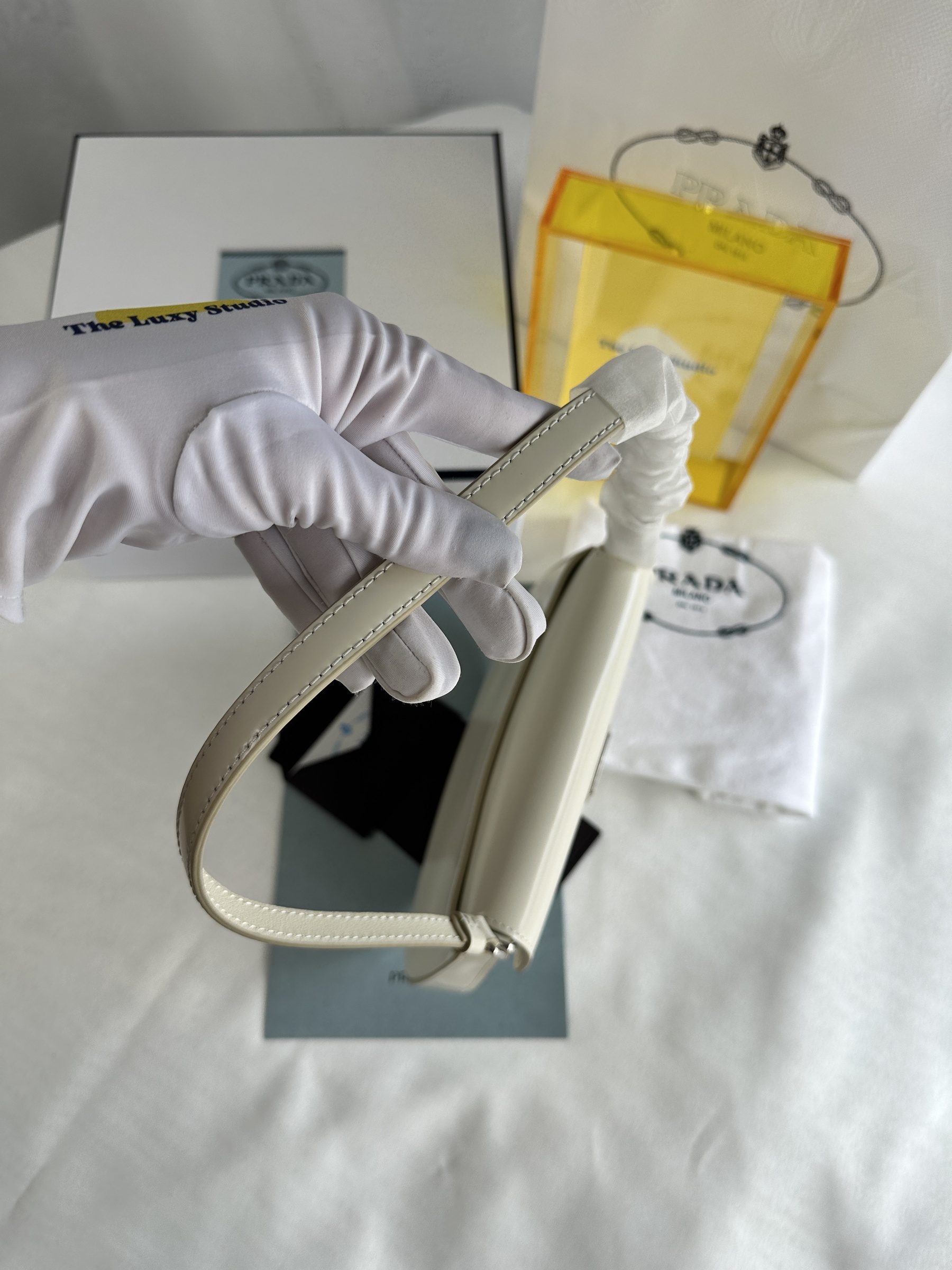 IMG_7503-1741611477568