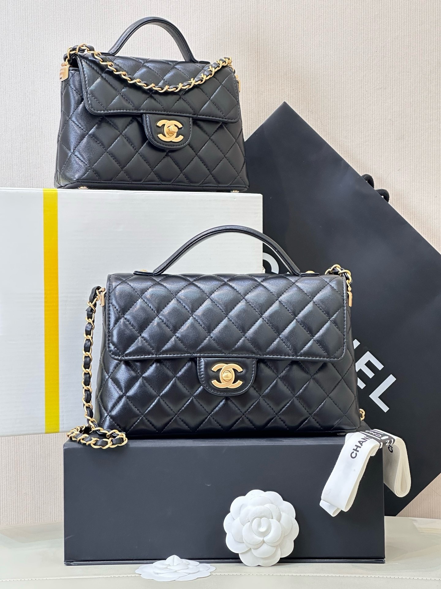 IMG_5357-1741675175296