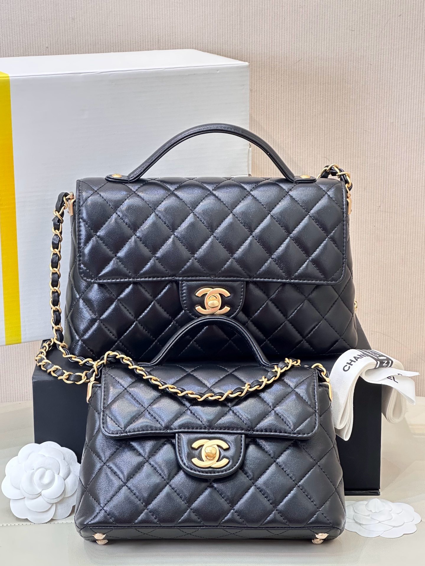 IMG_5358-1741675175291