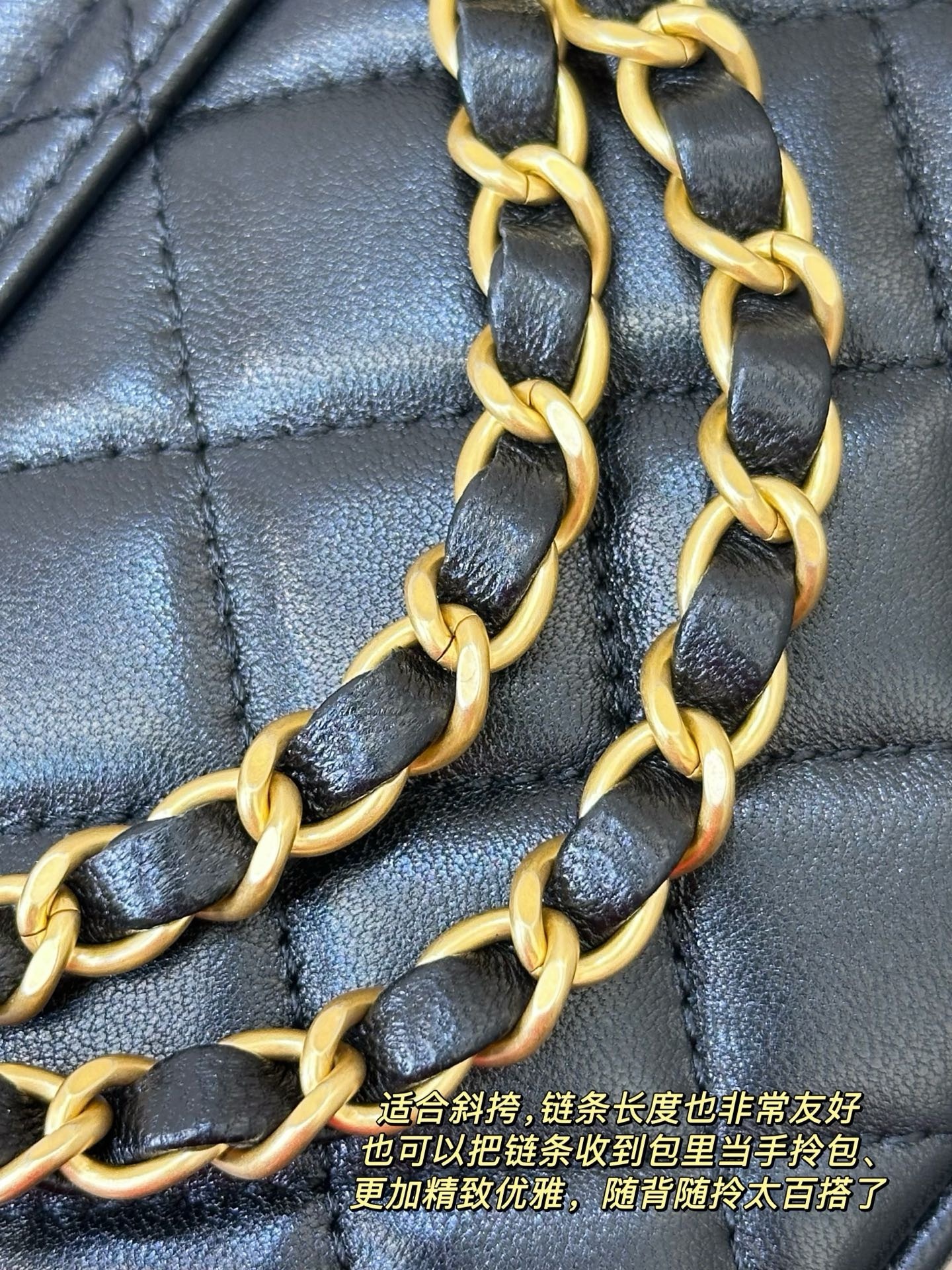 IMG_5361-1741675175301