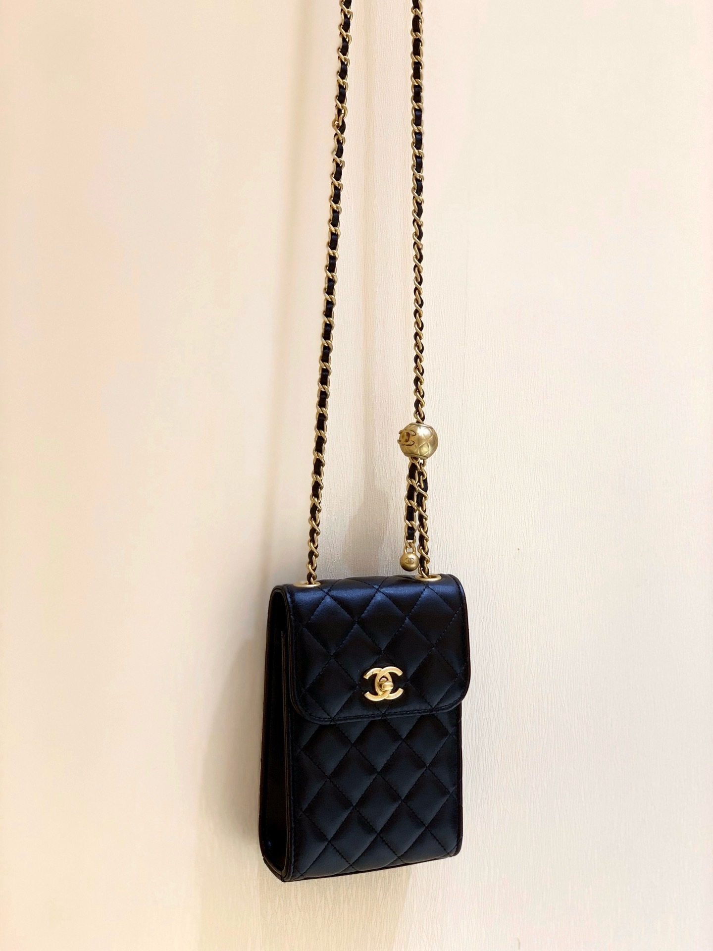 IMG_1923-1741696921899