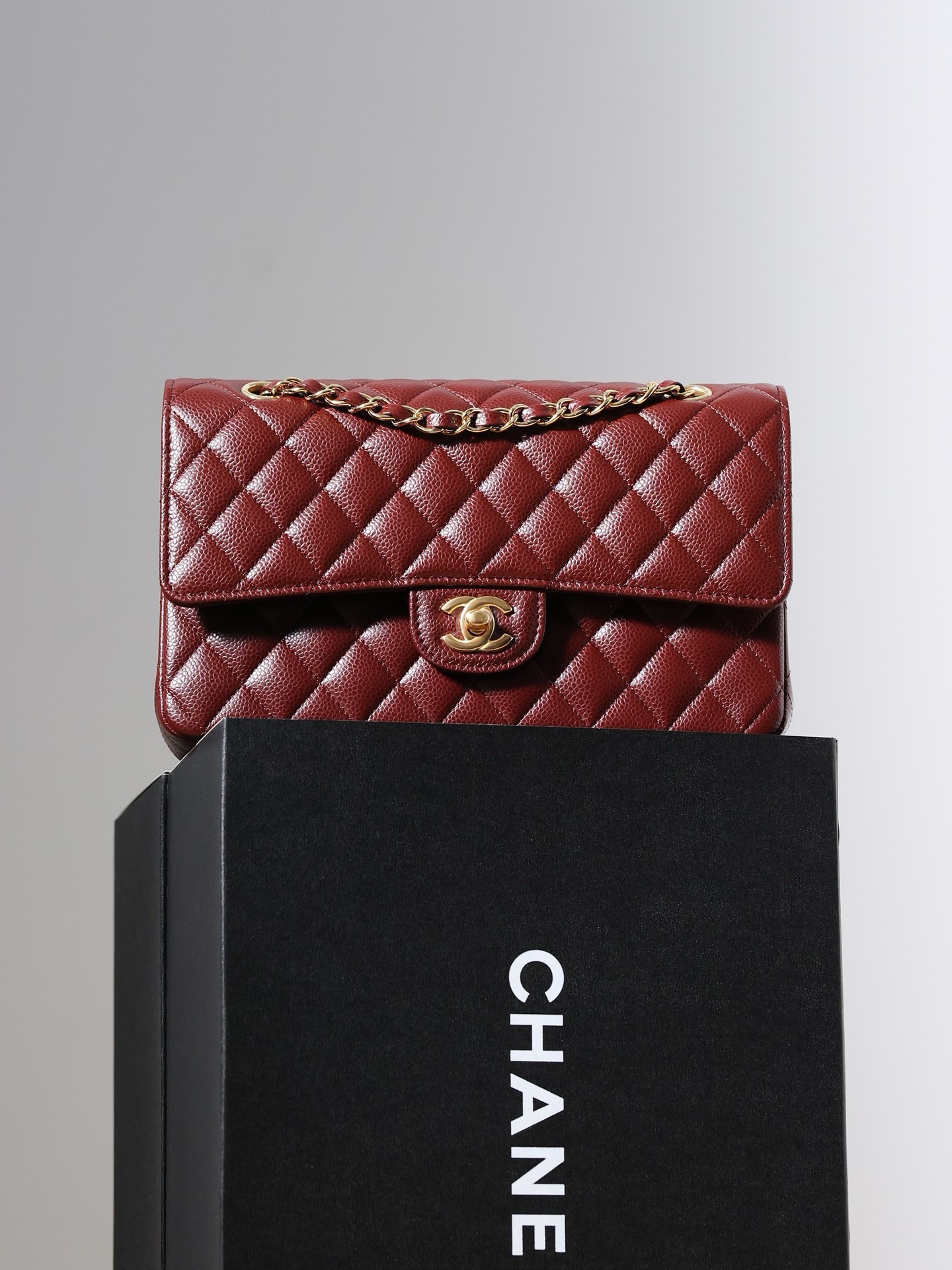 IMG_1860-1741698034550