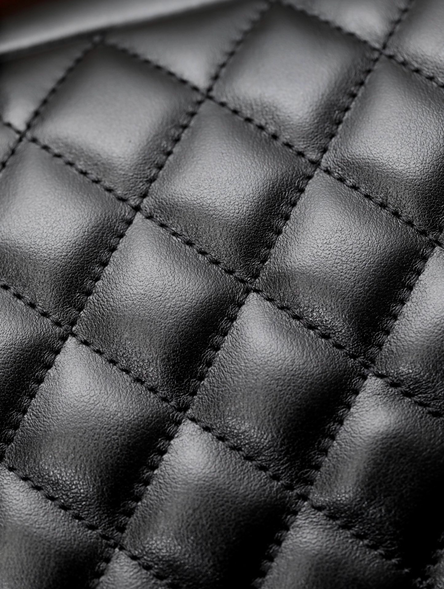 IMG_5592-1741789265162