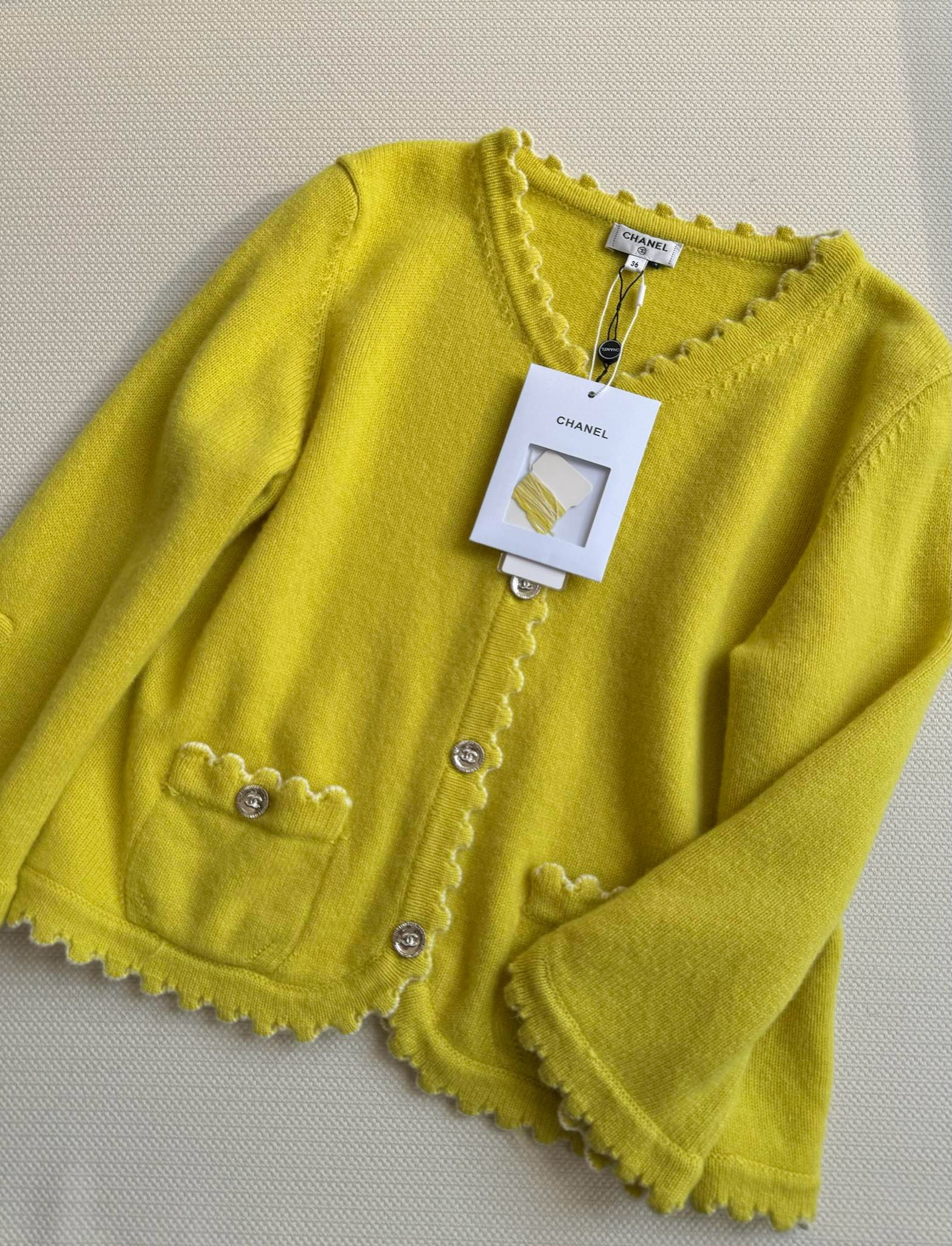 IMG_5886-1742188510880