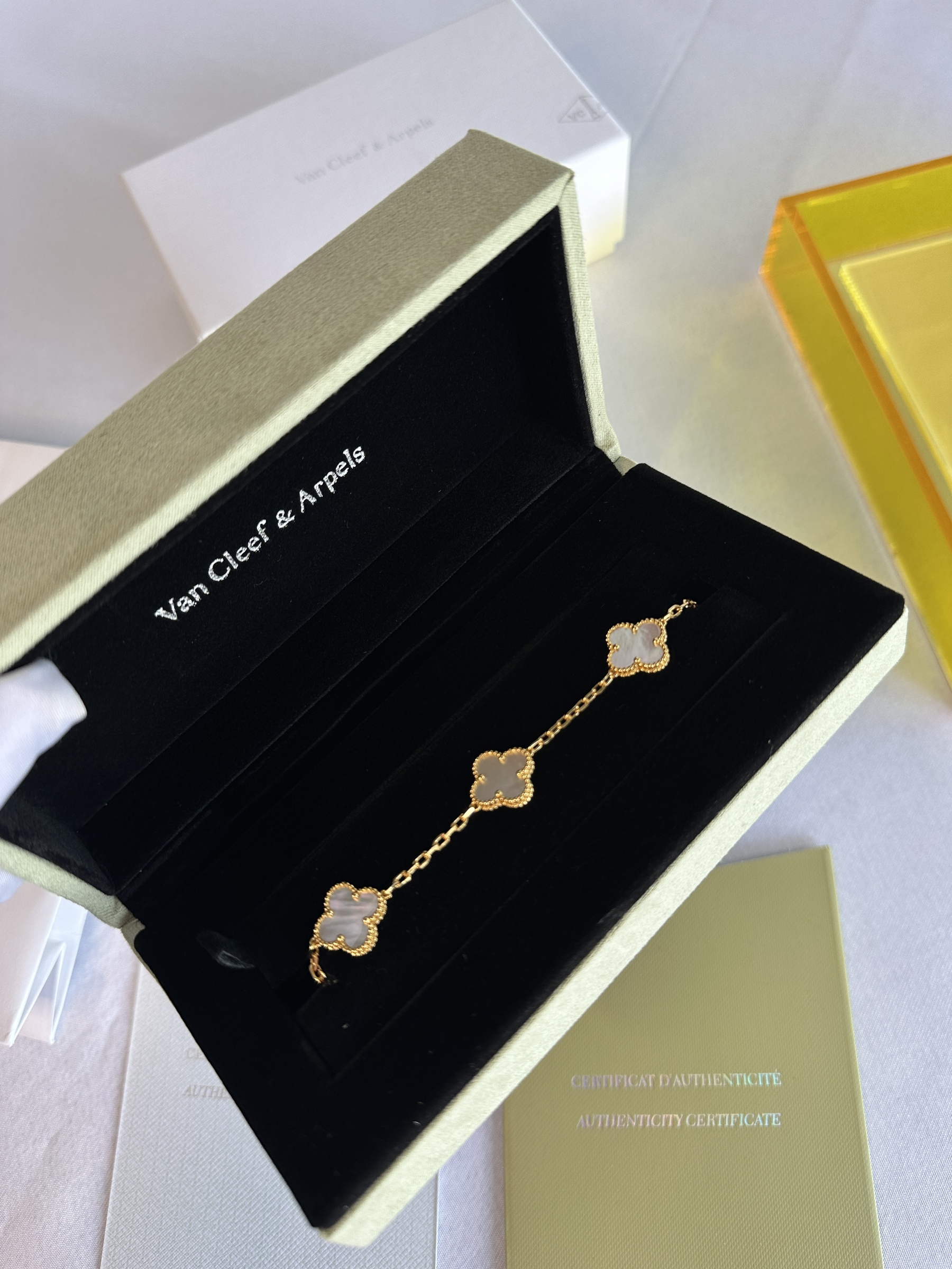 IMG_5460-1742394591365