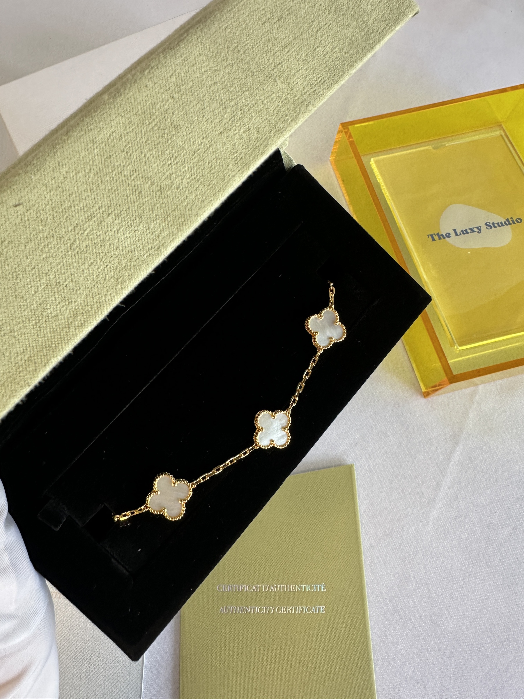 IMG_5461-1742394591376