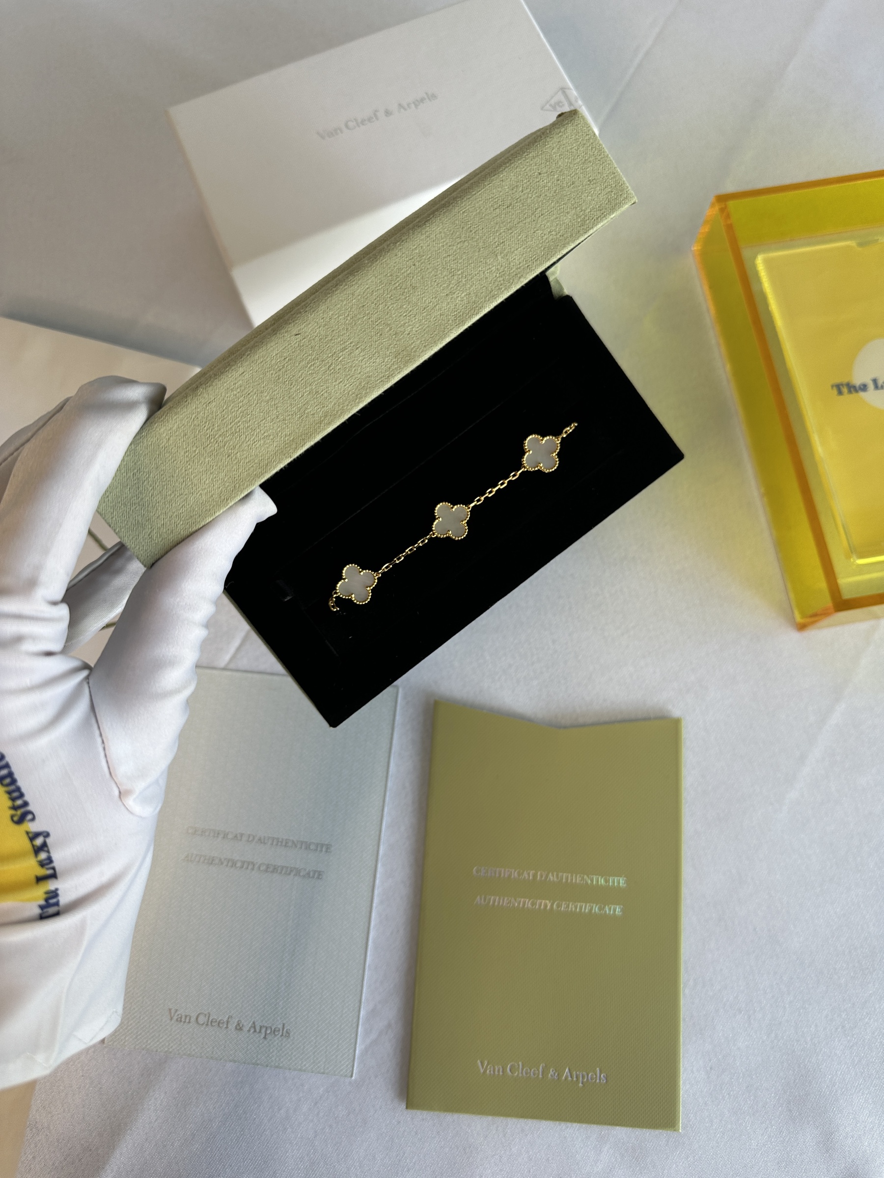 IMG_5459-1742394591361