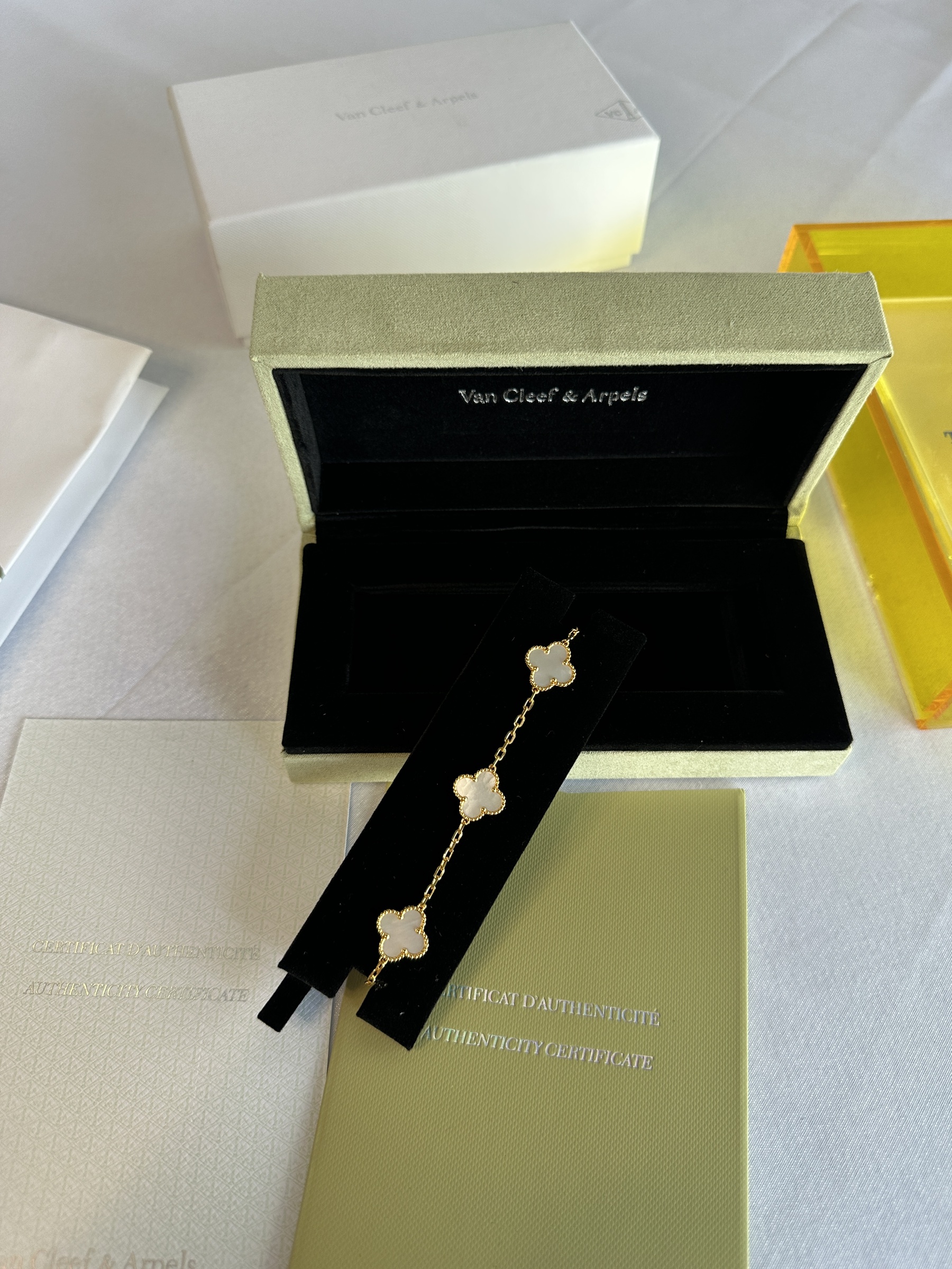 IMG_5466-1742394591366