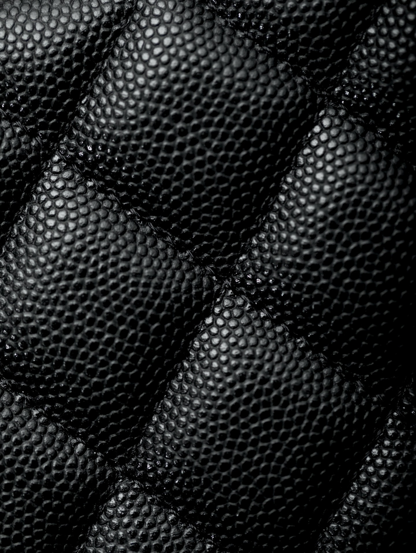 IMG_6355-1742803540439