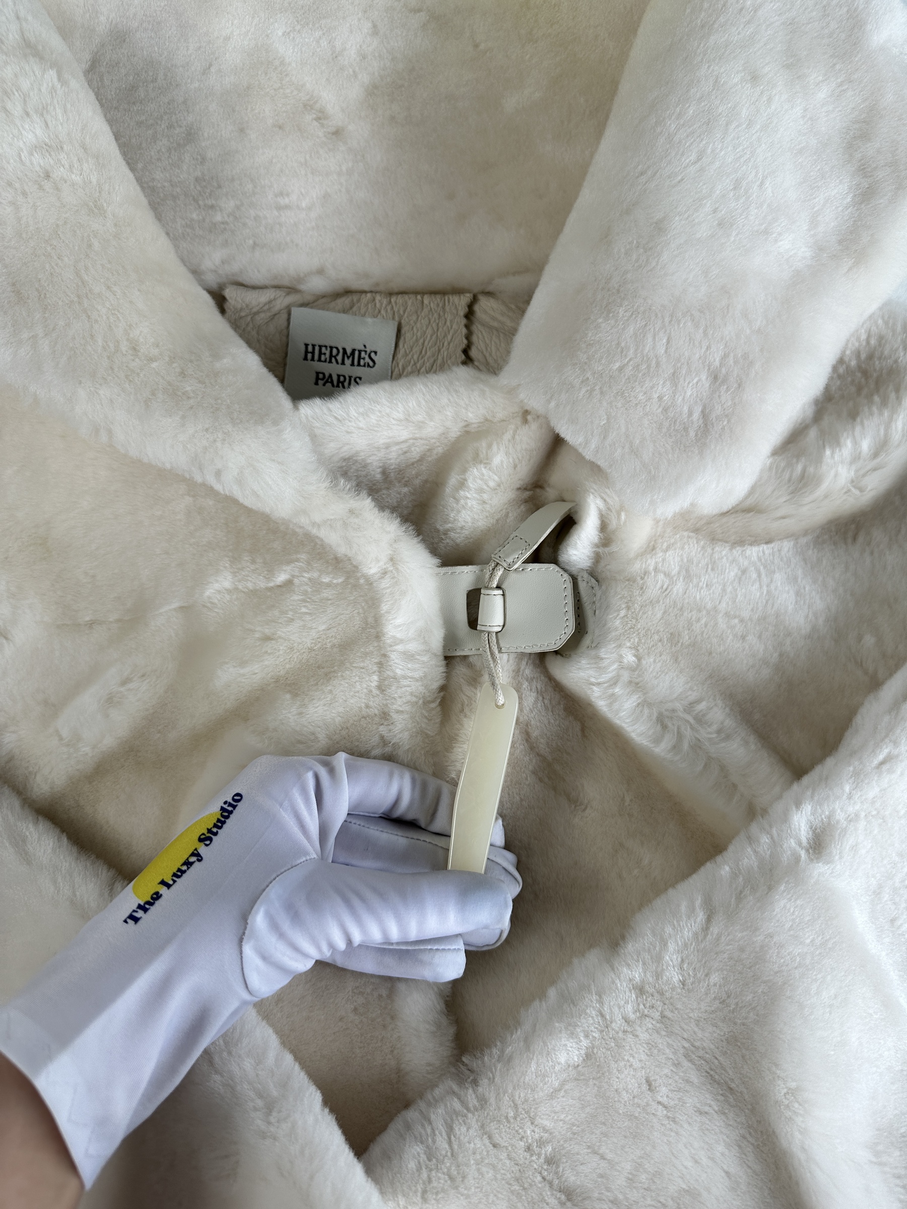 IMG_7634-1742826616405