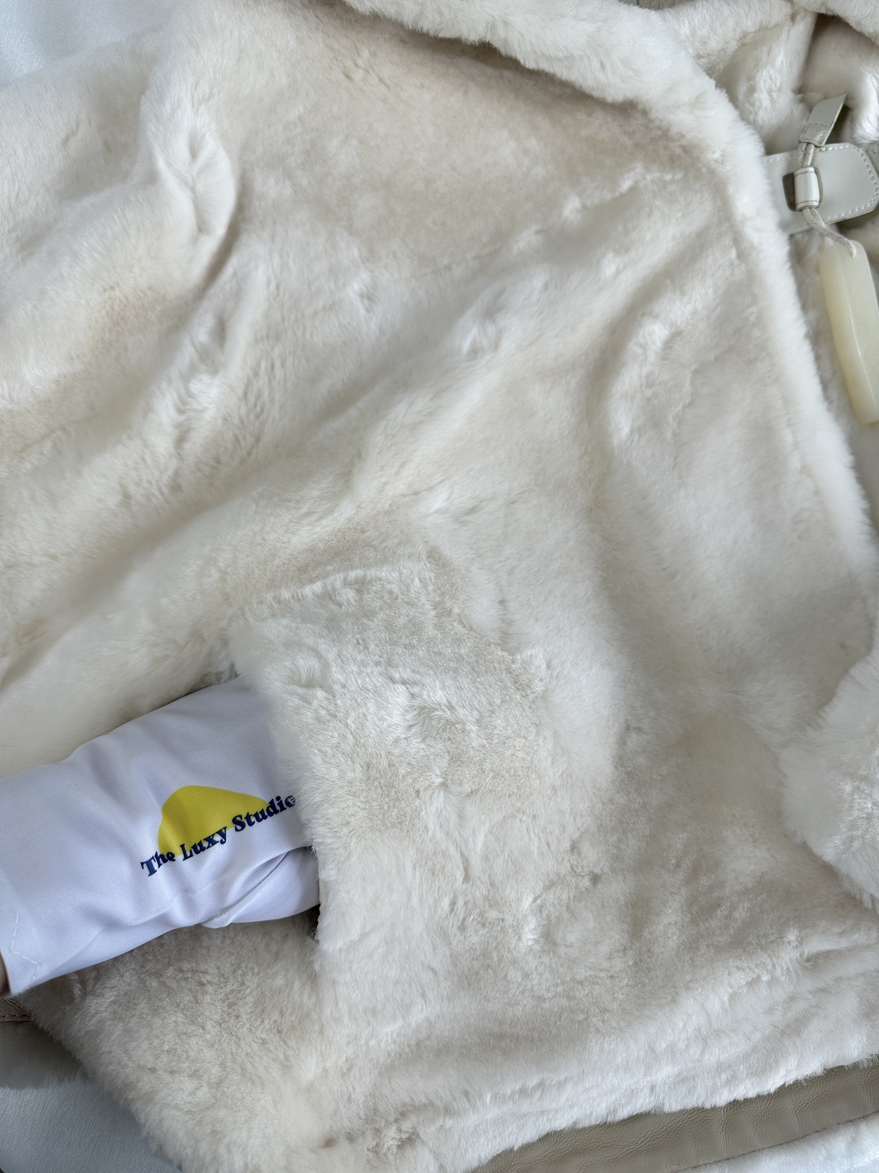 IMG_7636-1742826616407