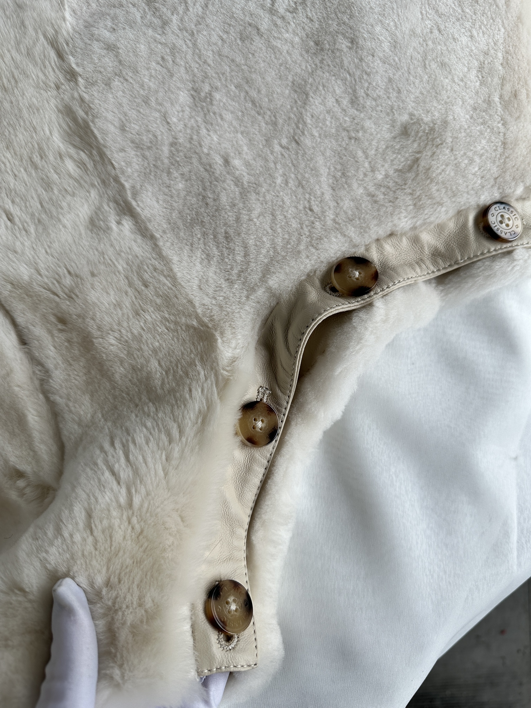 IMG_7637-1742826616410