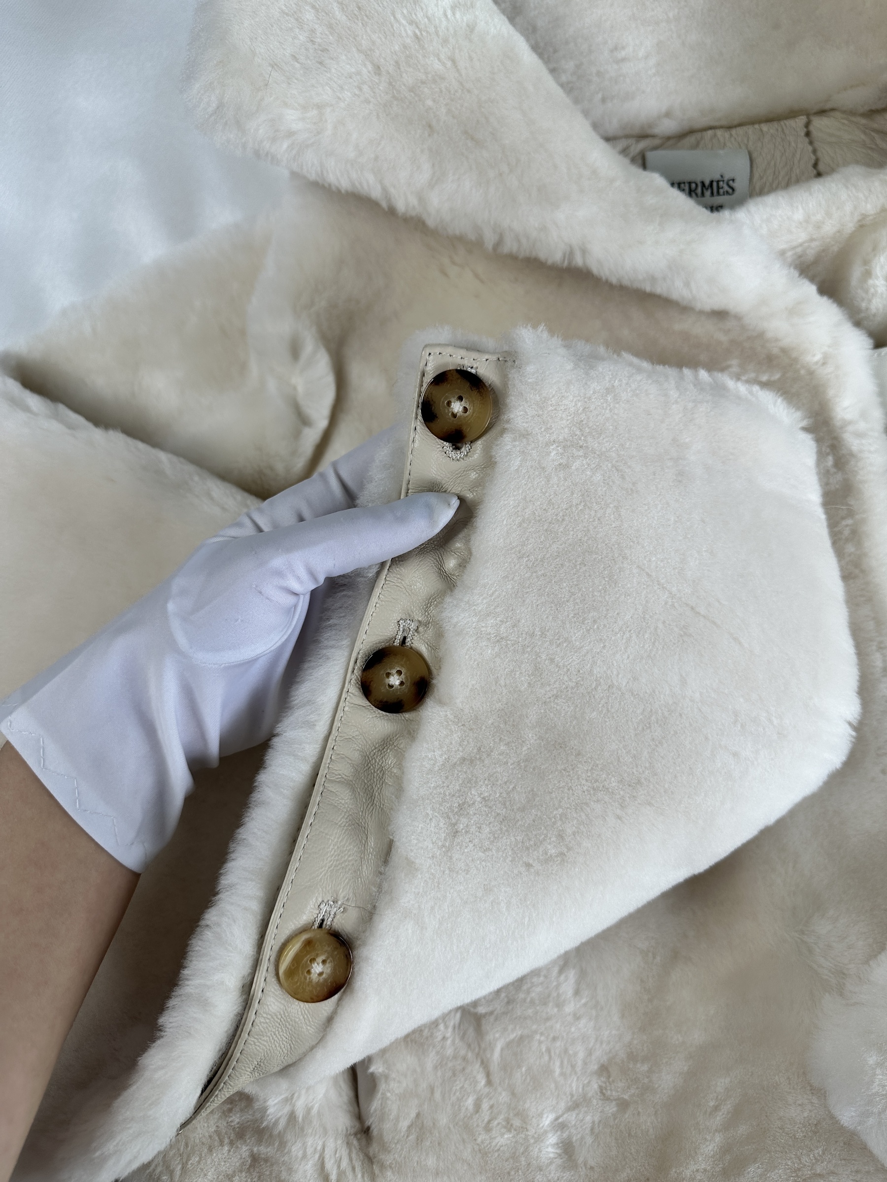 IMG_7635-1742826616413