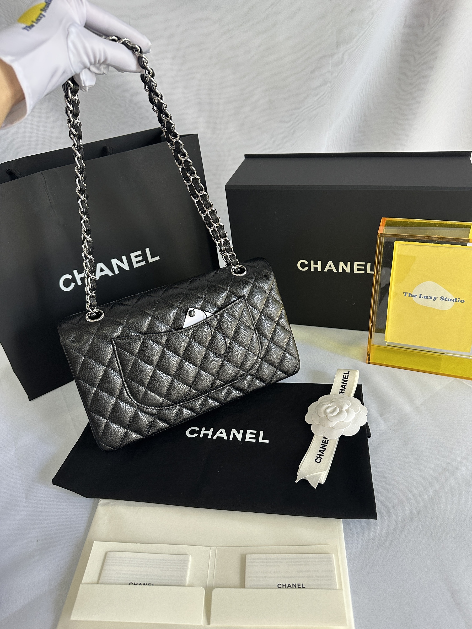 IMG_6402-1742966472569