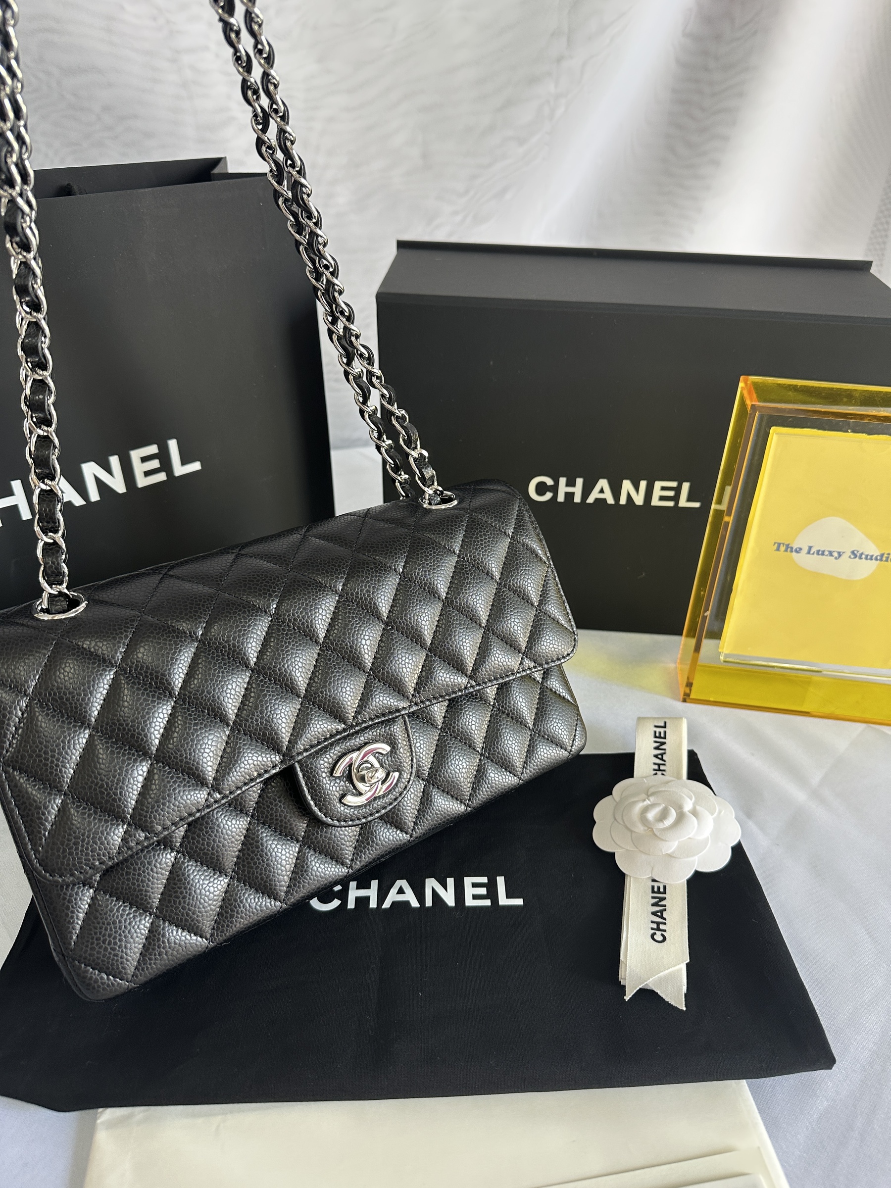 IMG_6401-1742966472564