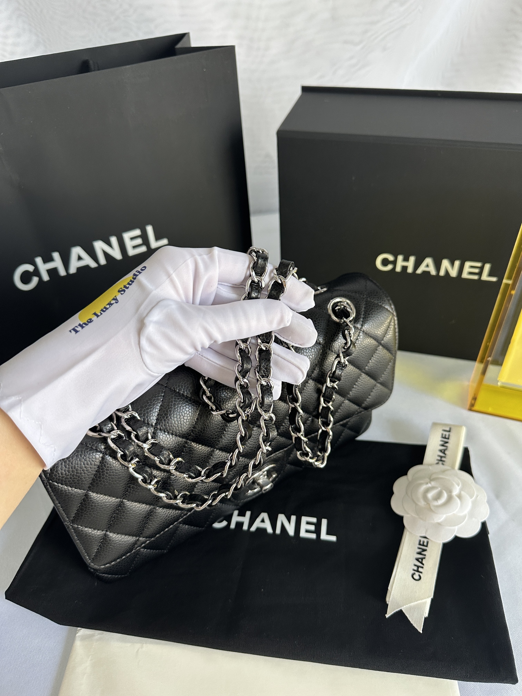 IMG_6406-1742966472573