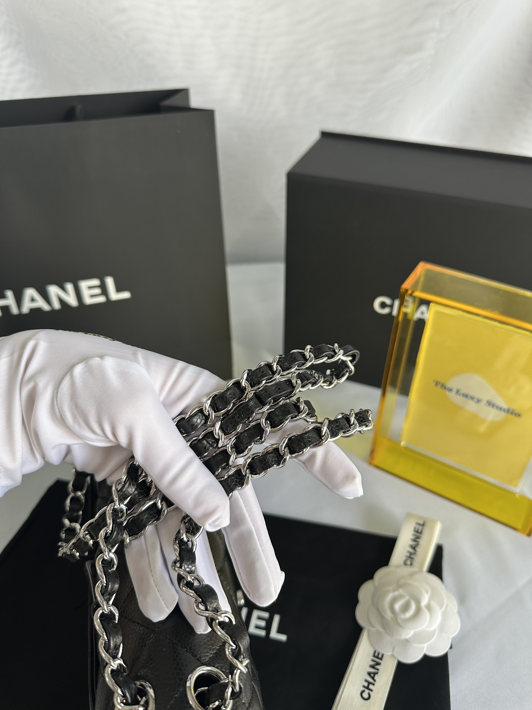 IMG_6421-1742966472599