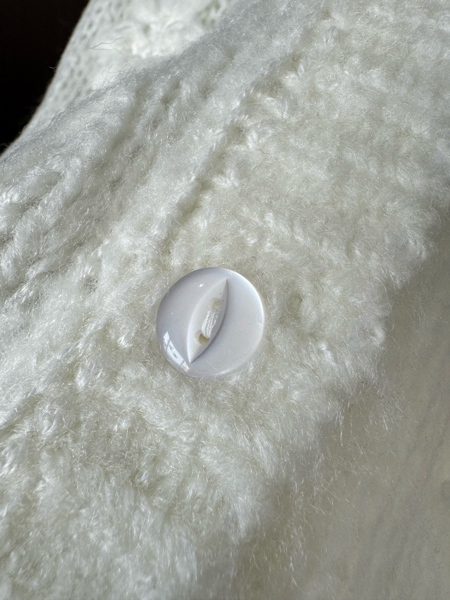 IMG_6439-1743048145449