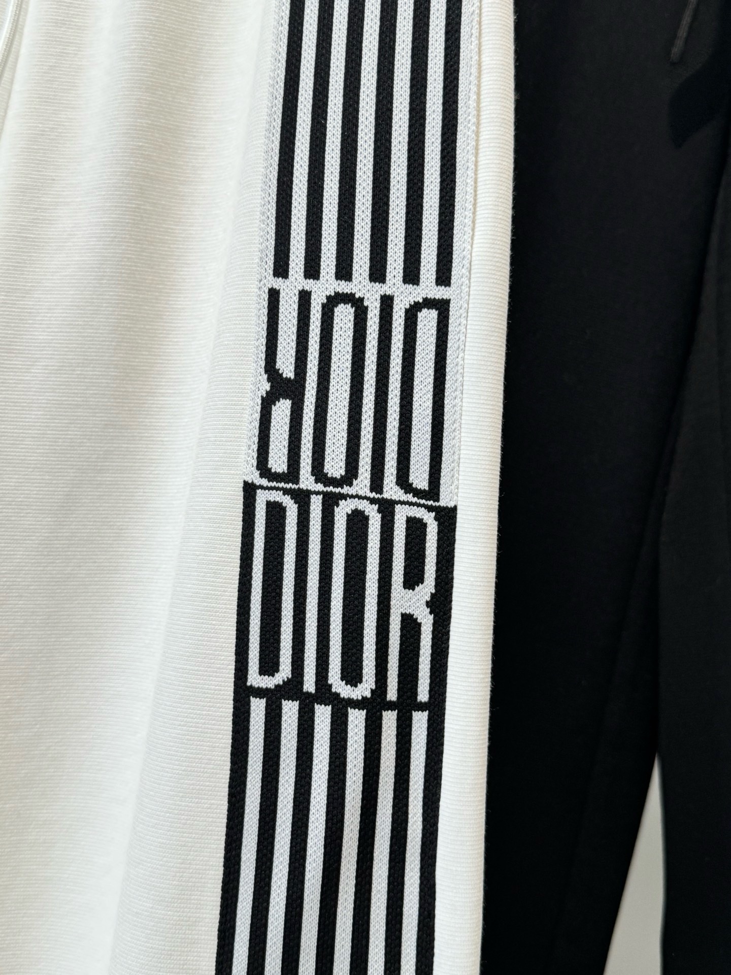 IMG_6543-1743051176349