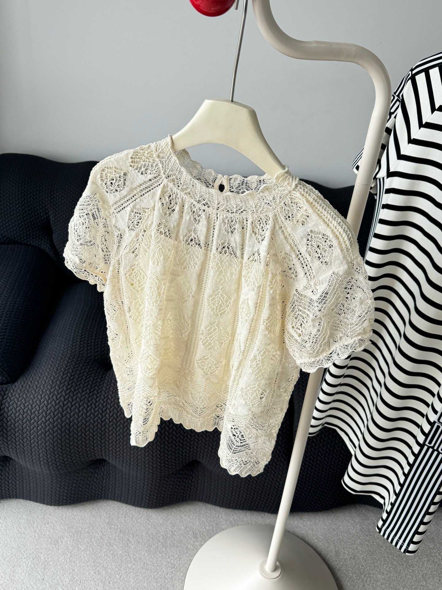 IMG_6581-1743052545117