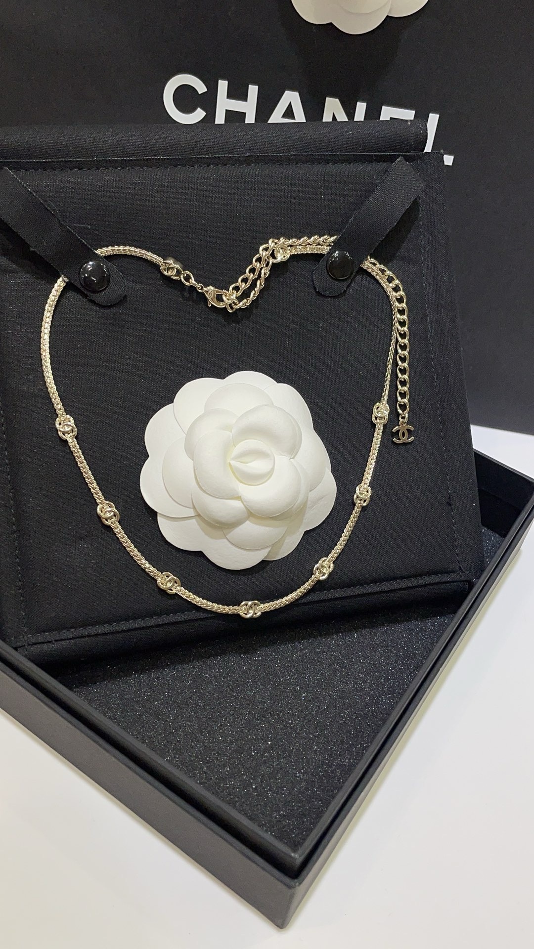 IMG_6136-1743579966090