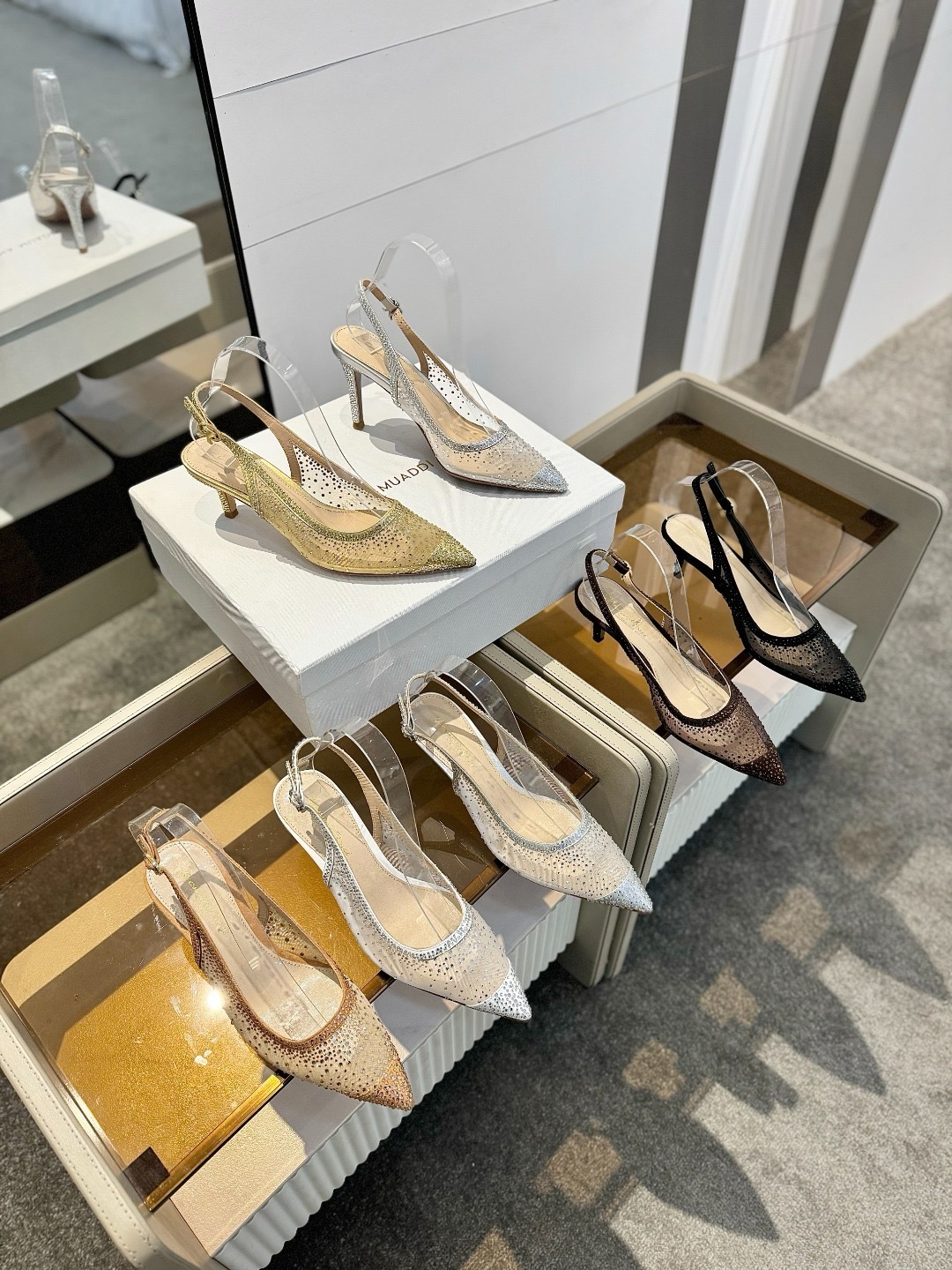 IMG_6830-1743583083865