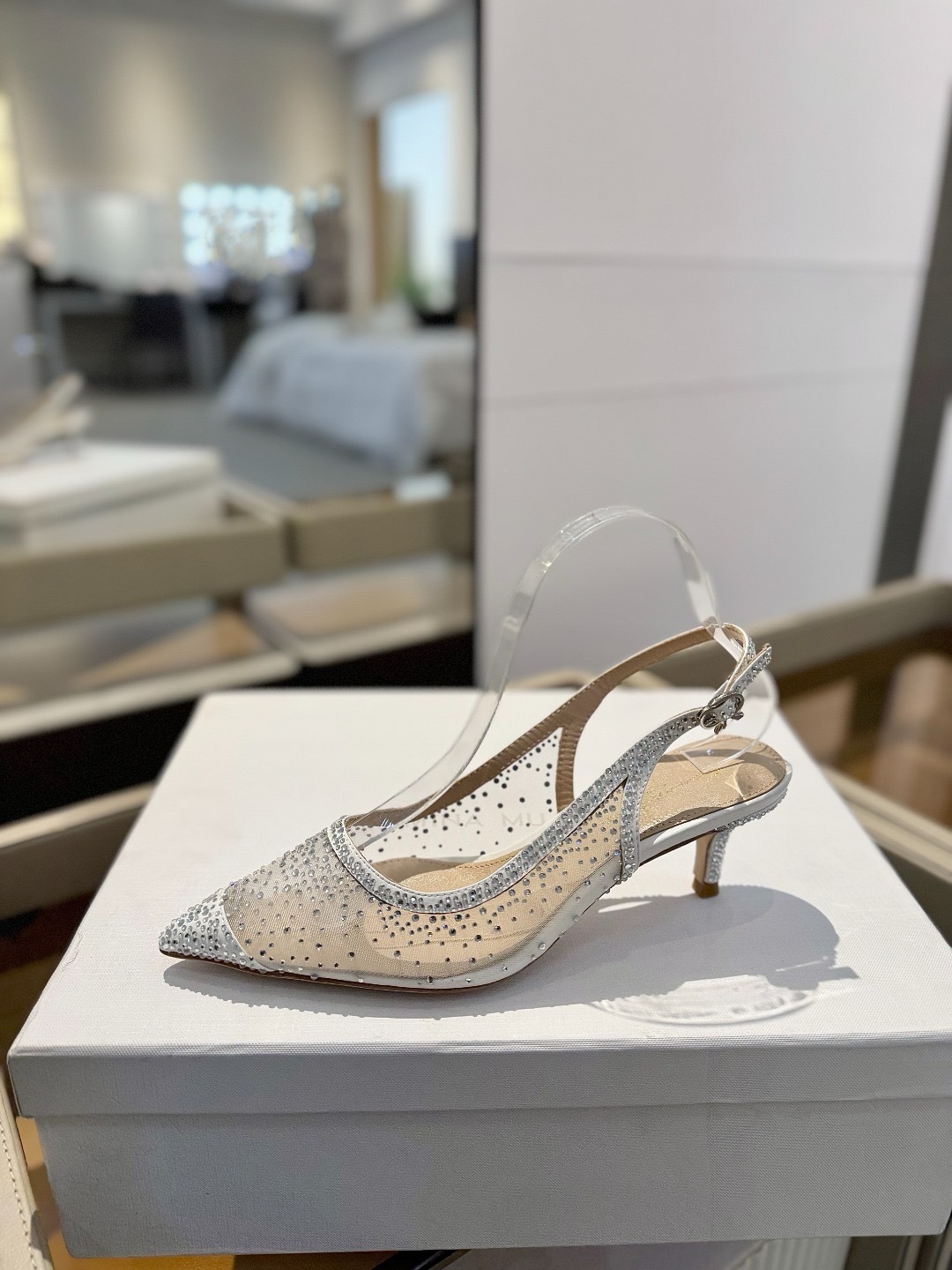 IMG_6831-1743583083873