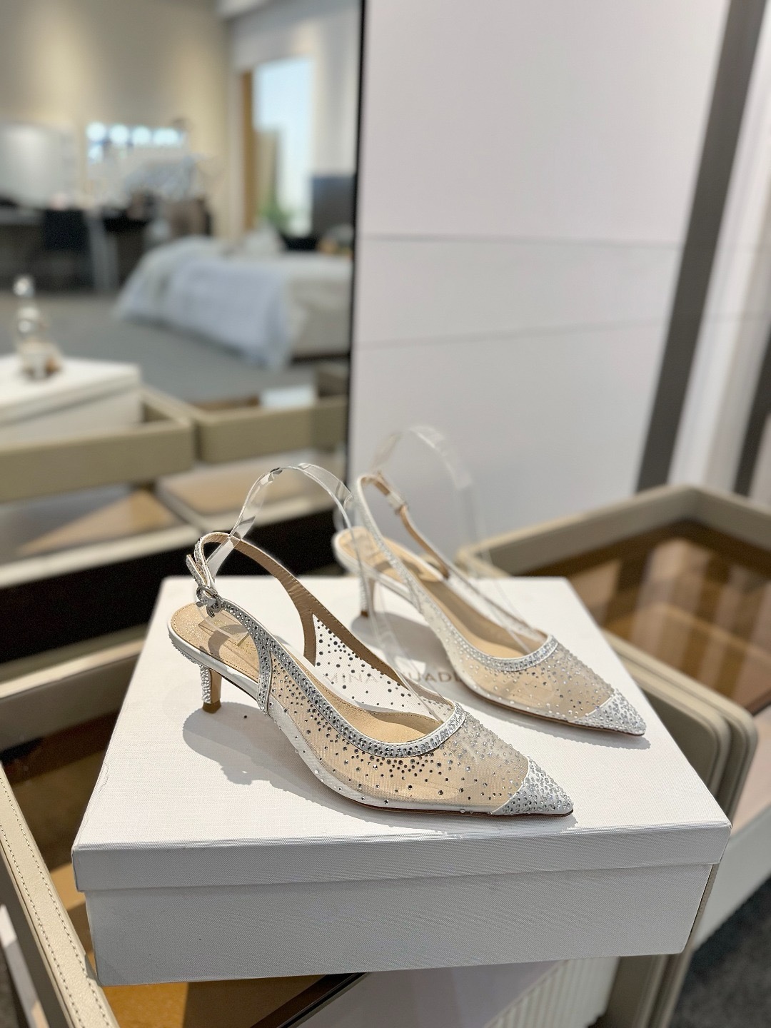 IMG_6832-1743583083878