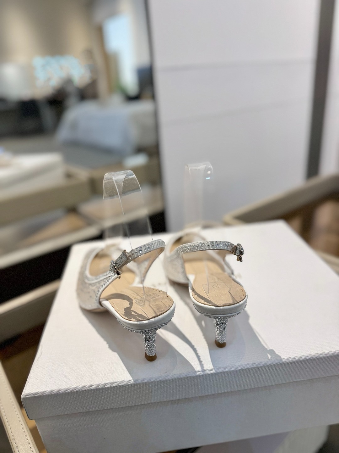 IMG_6836-1743583083882