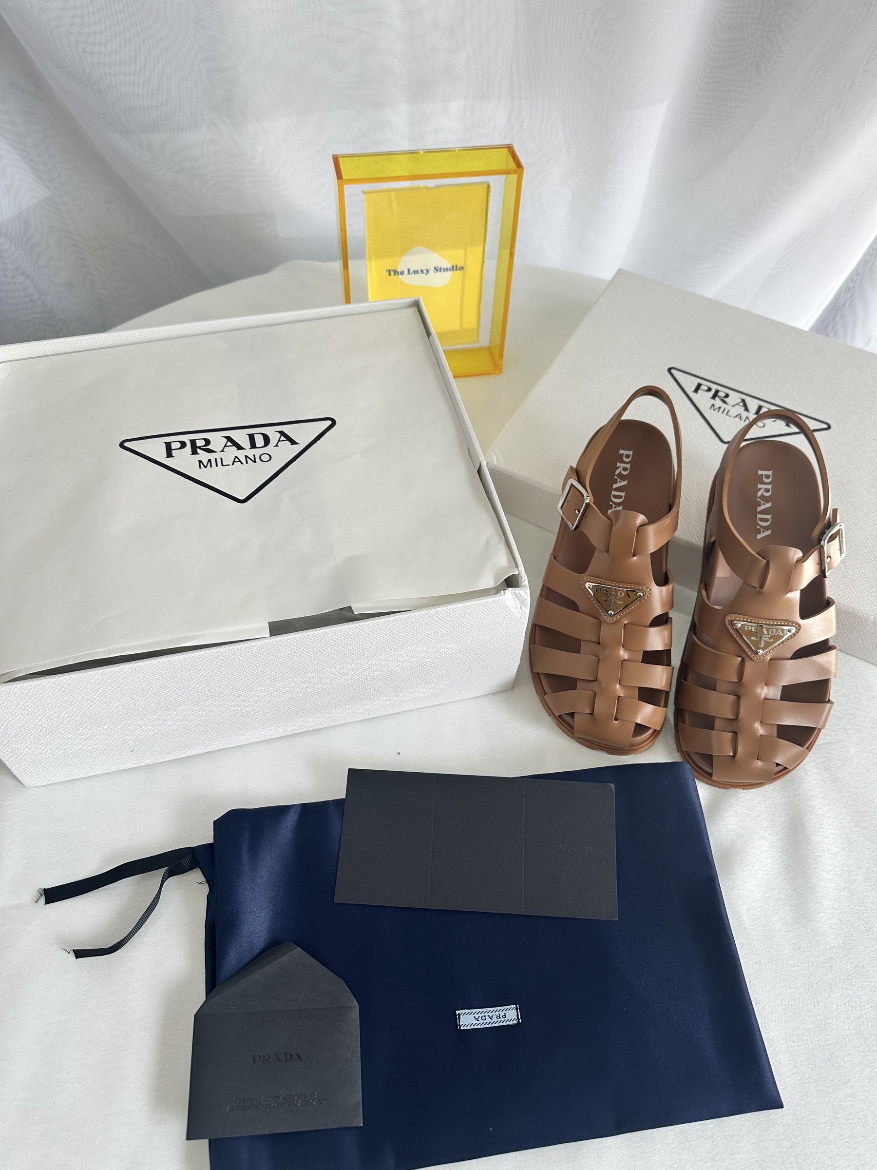 IMG_7956-1743602672441