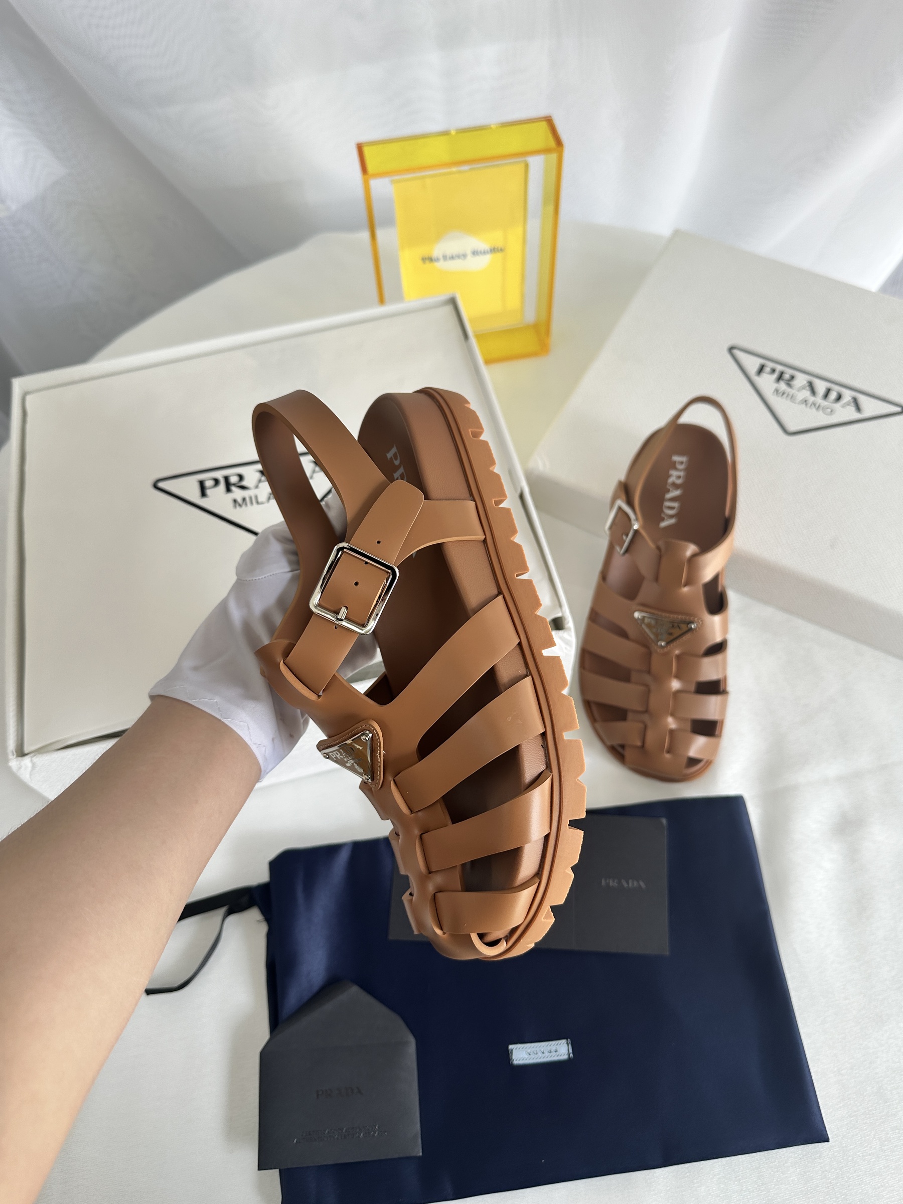 IMG_7958-1743602672450