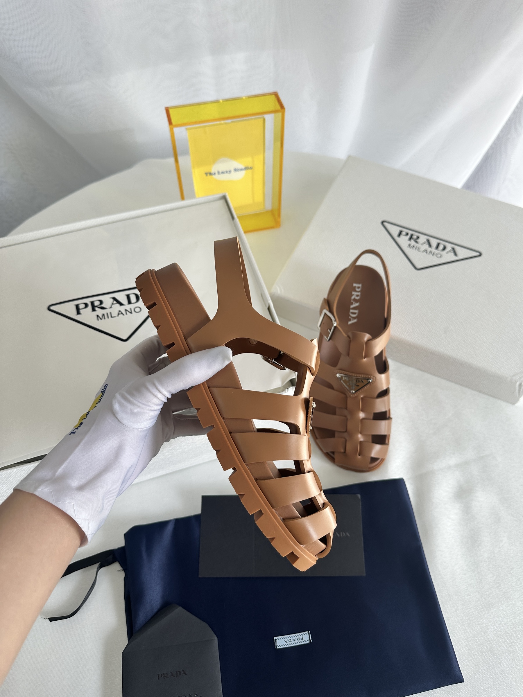 IMG_7959-1743602672454