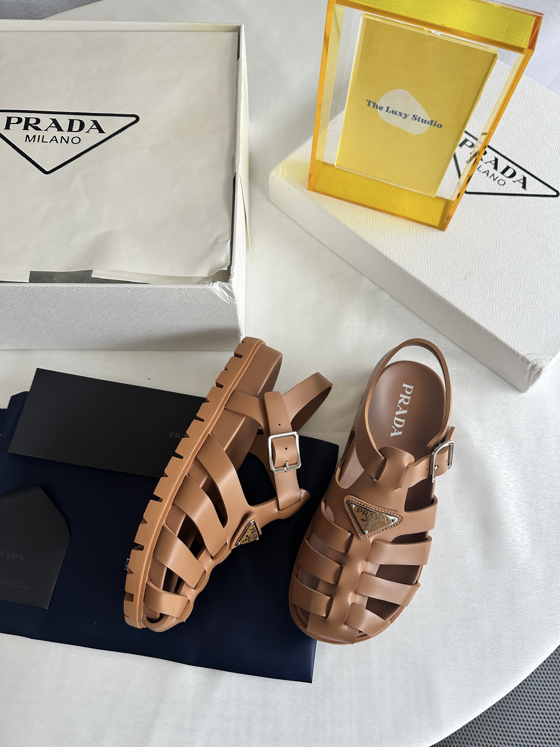 IMG_7969-1743602672463