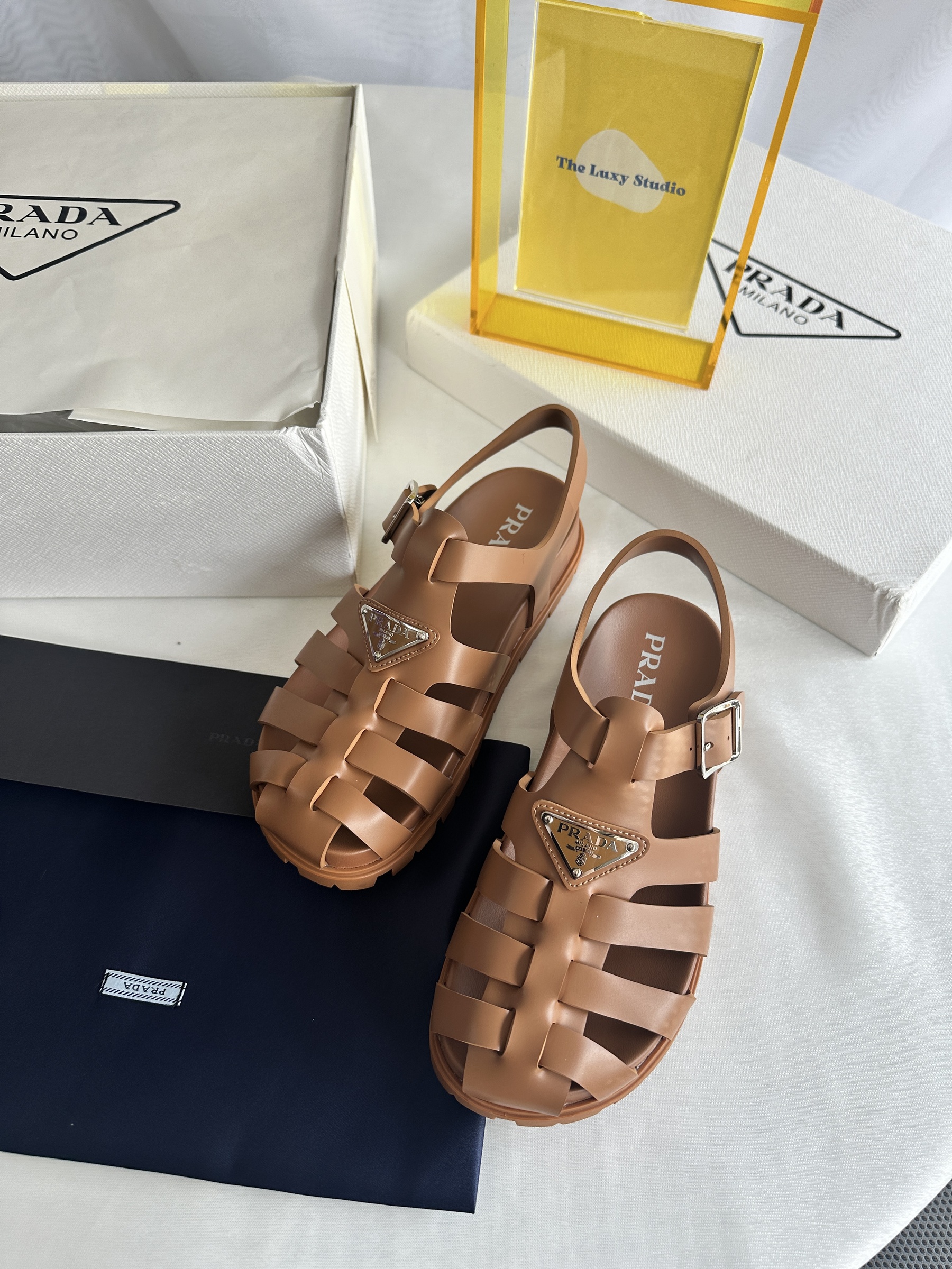 IMG_7967-1743602672467