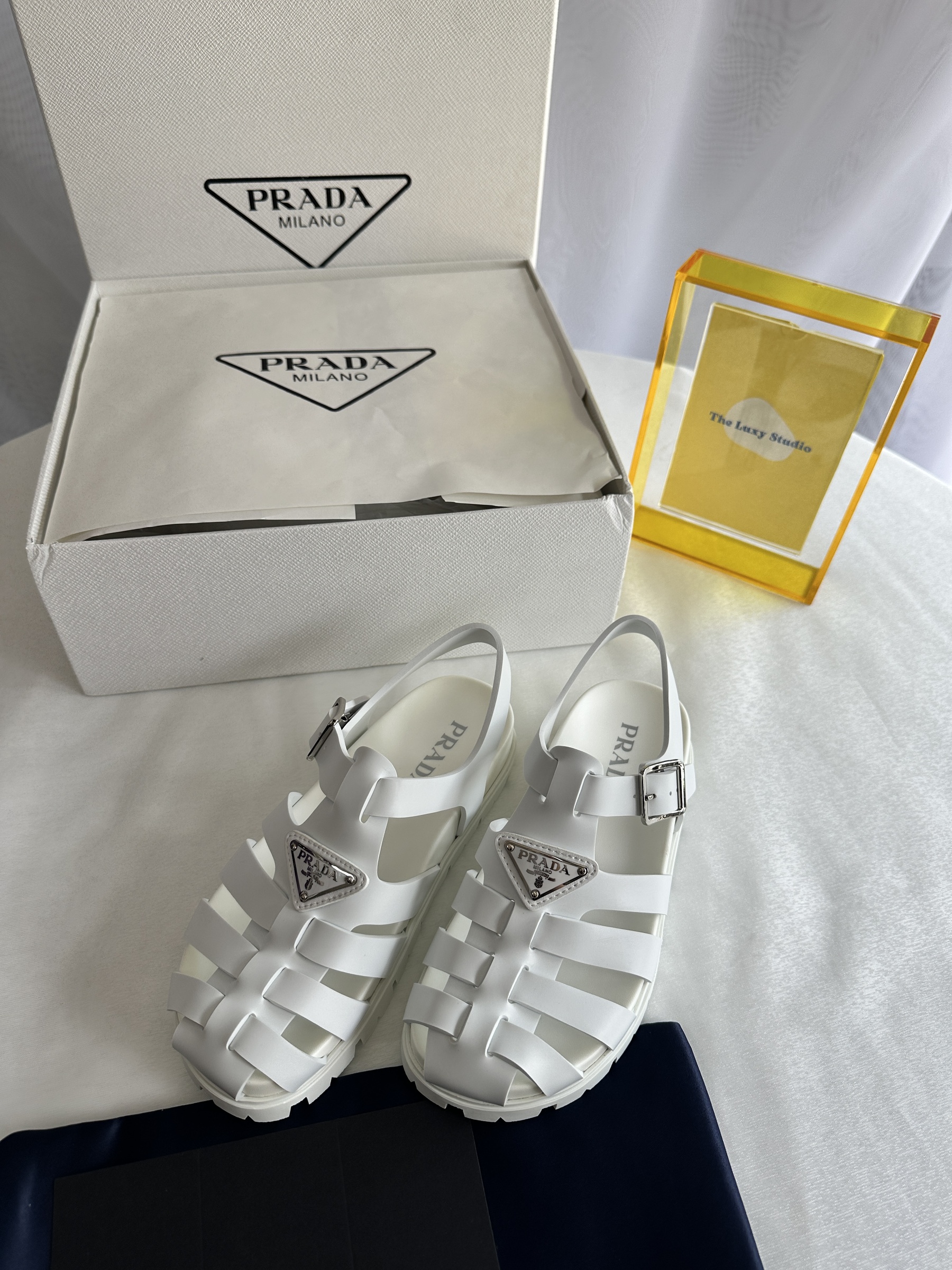 IMG_7976-1743602672472