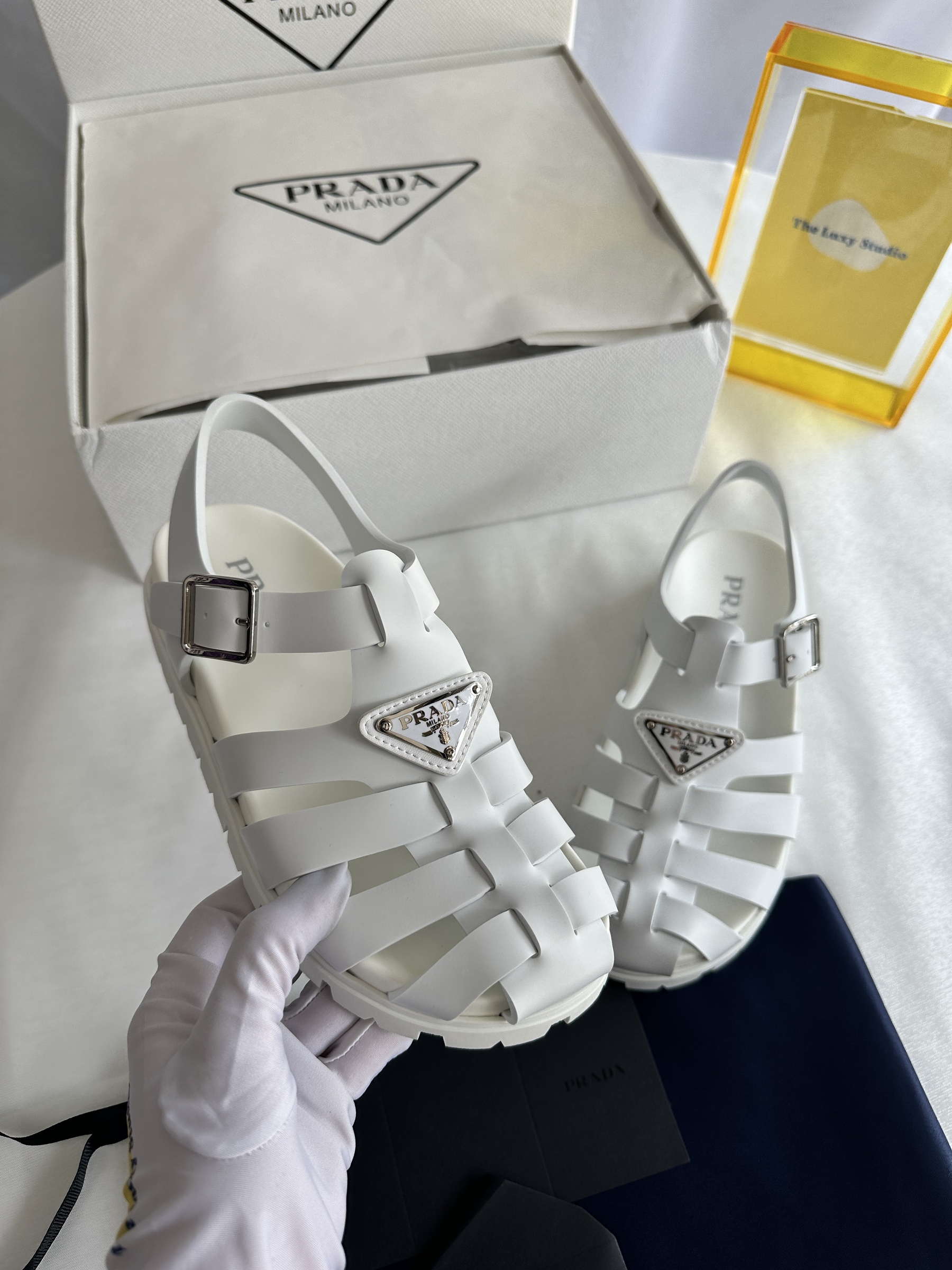 IMG_7977-1743602672475