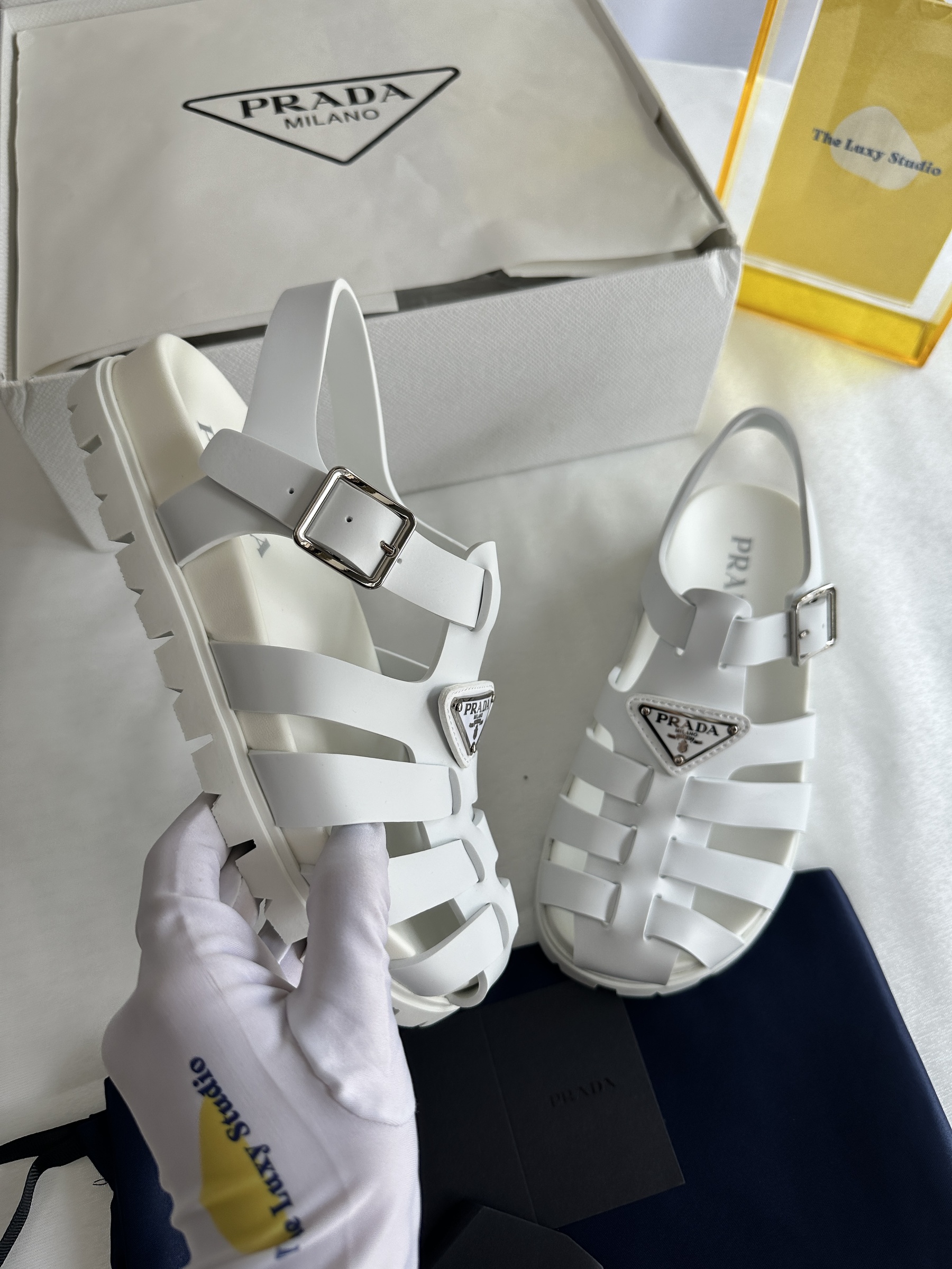 IMG_7978-1743602672479