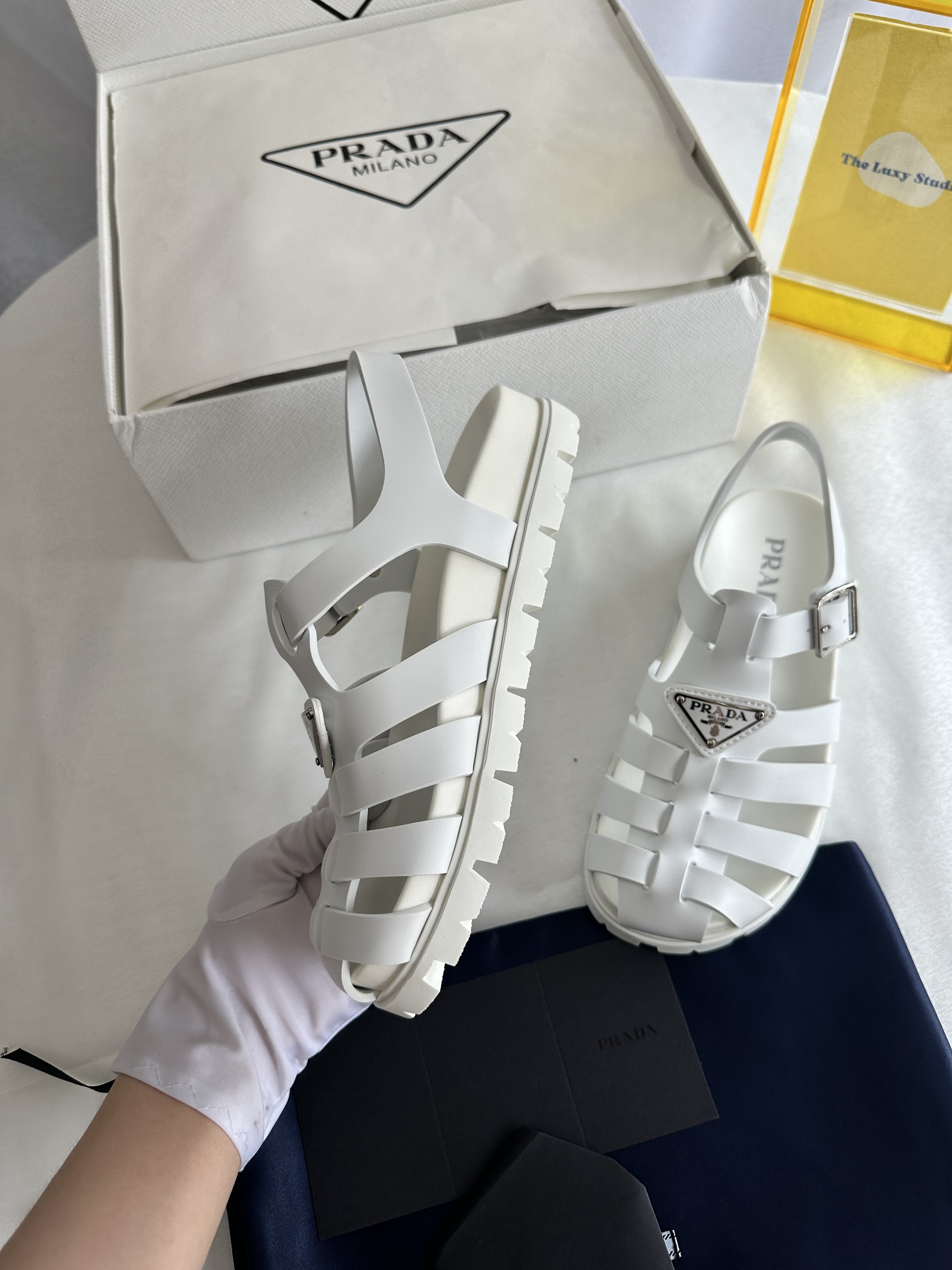 IMG_7979-1743602672483