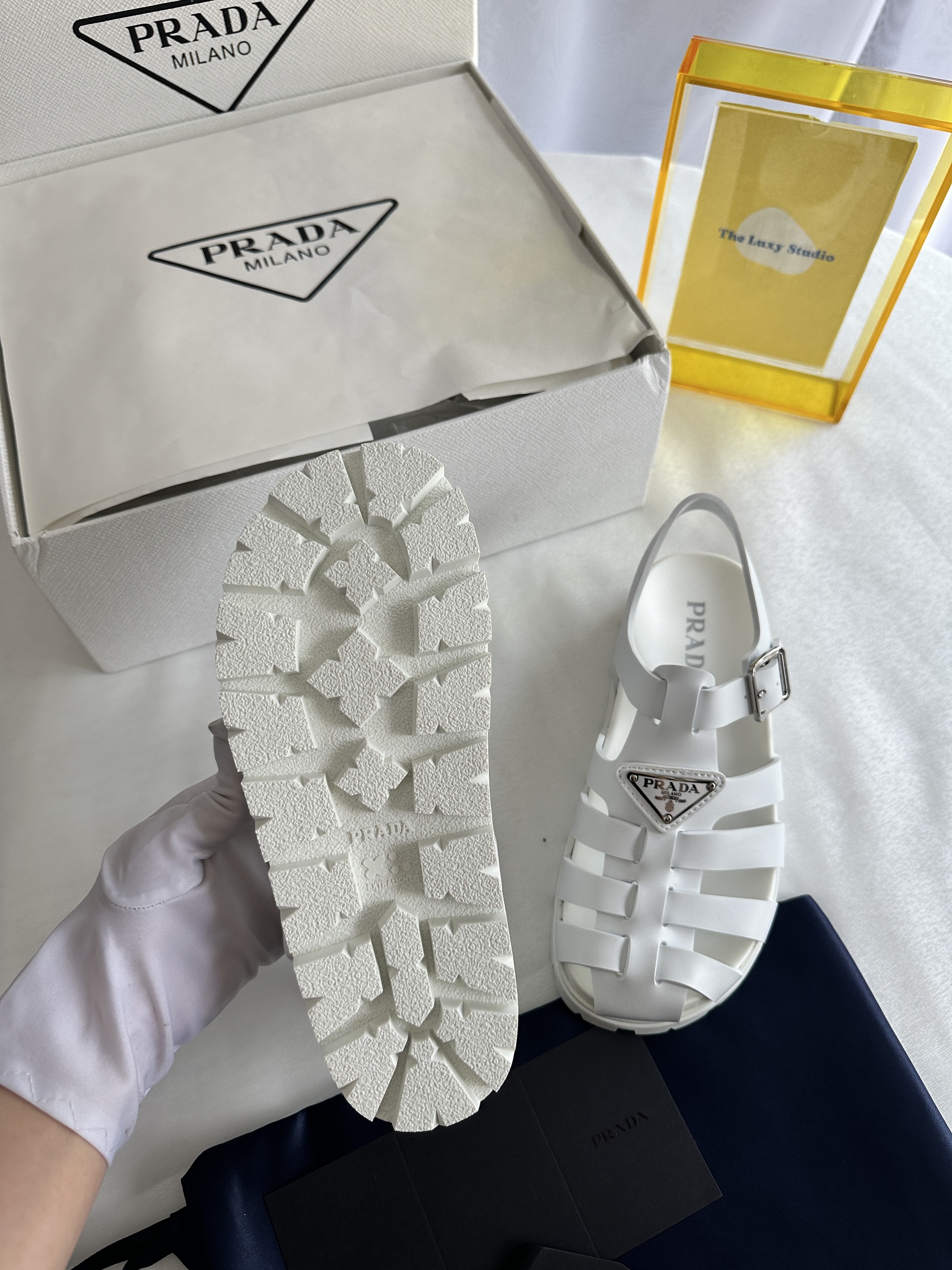 IMG_7980-1743602672487