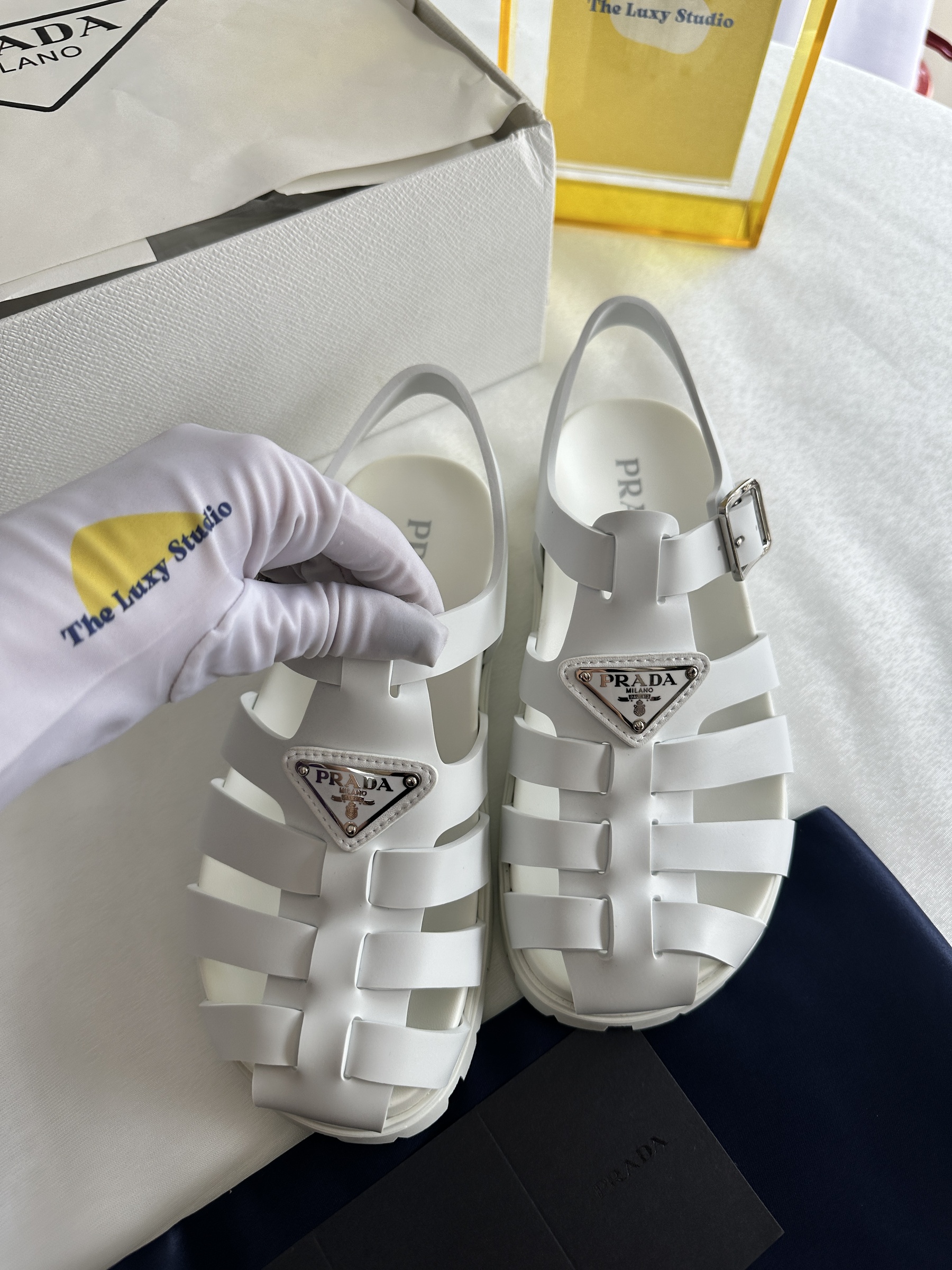 IMG_7981-1743602672490