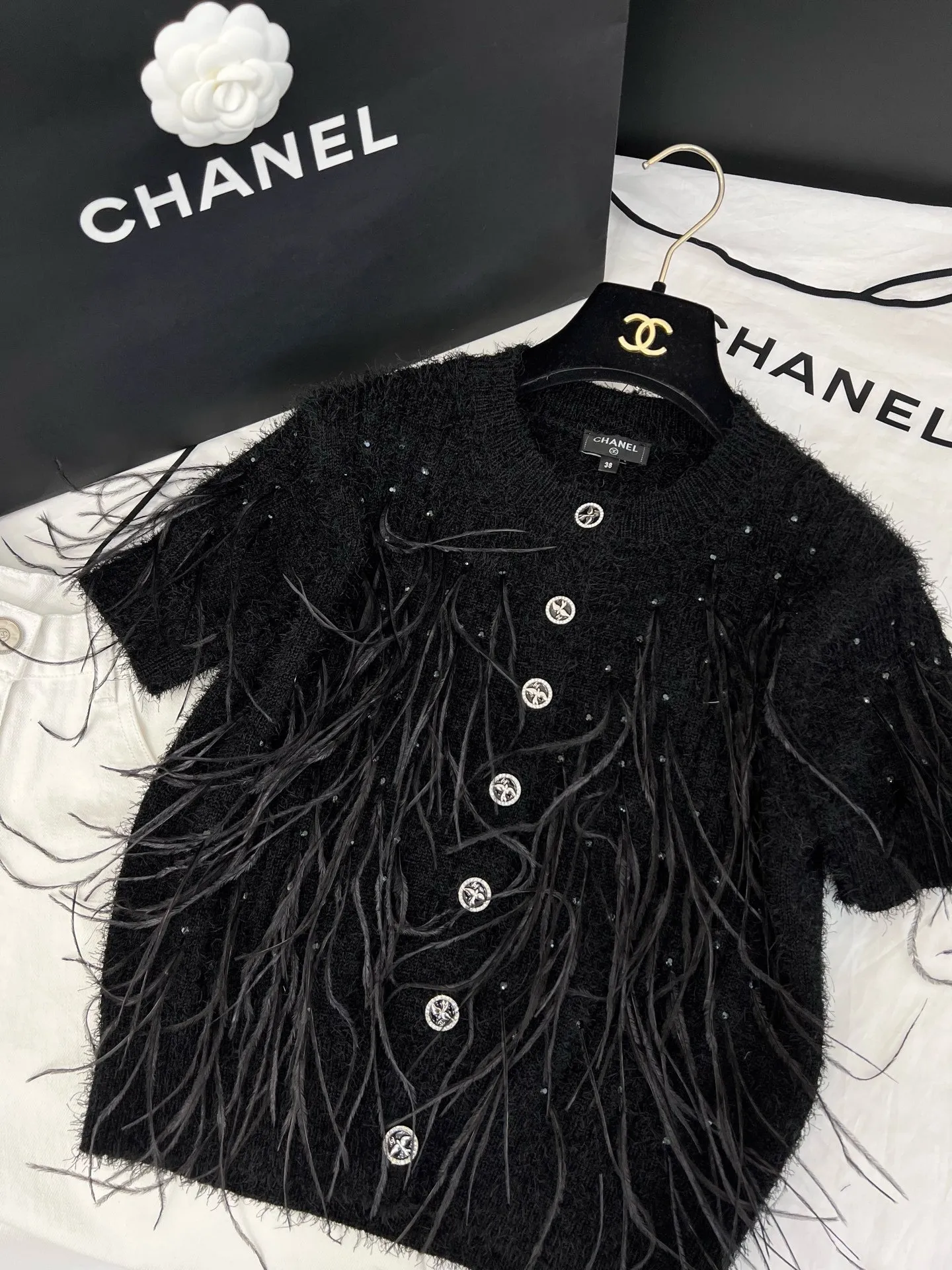 IMG_6951-1743738313302