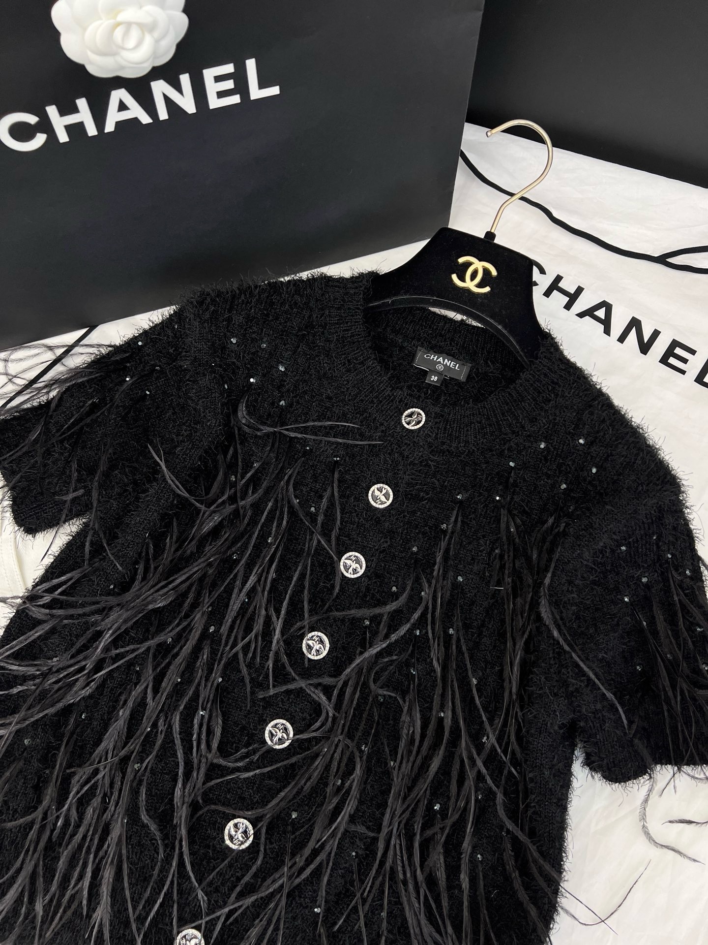 IMG_6952-1743738313295