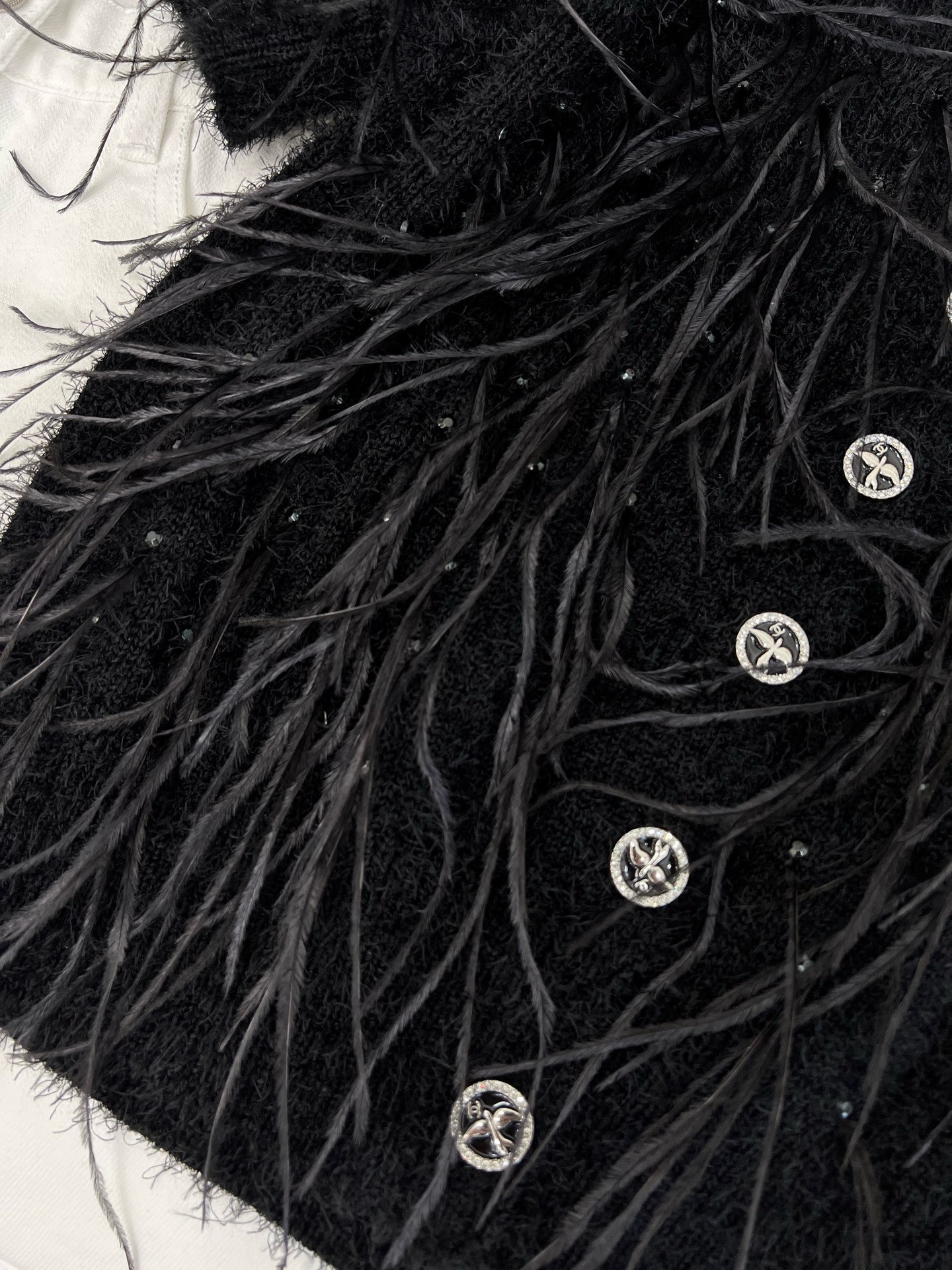 IMG_6954-1743738313317