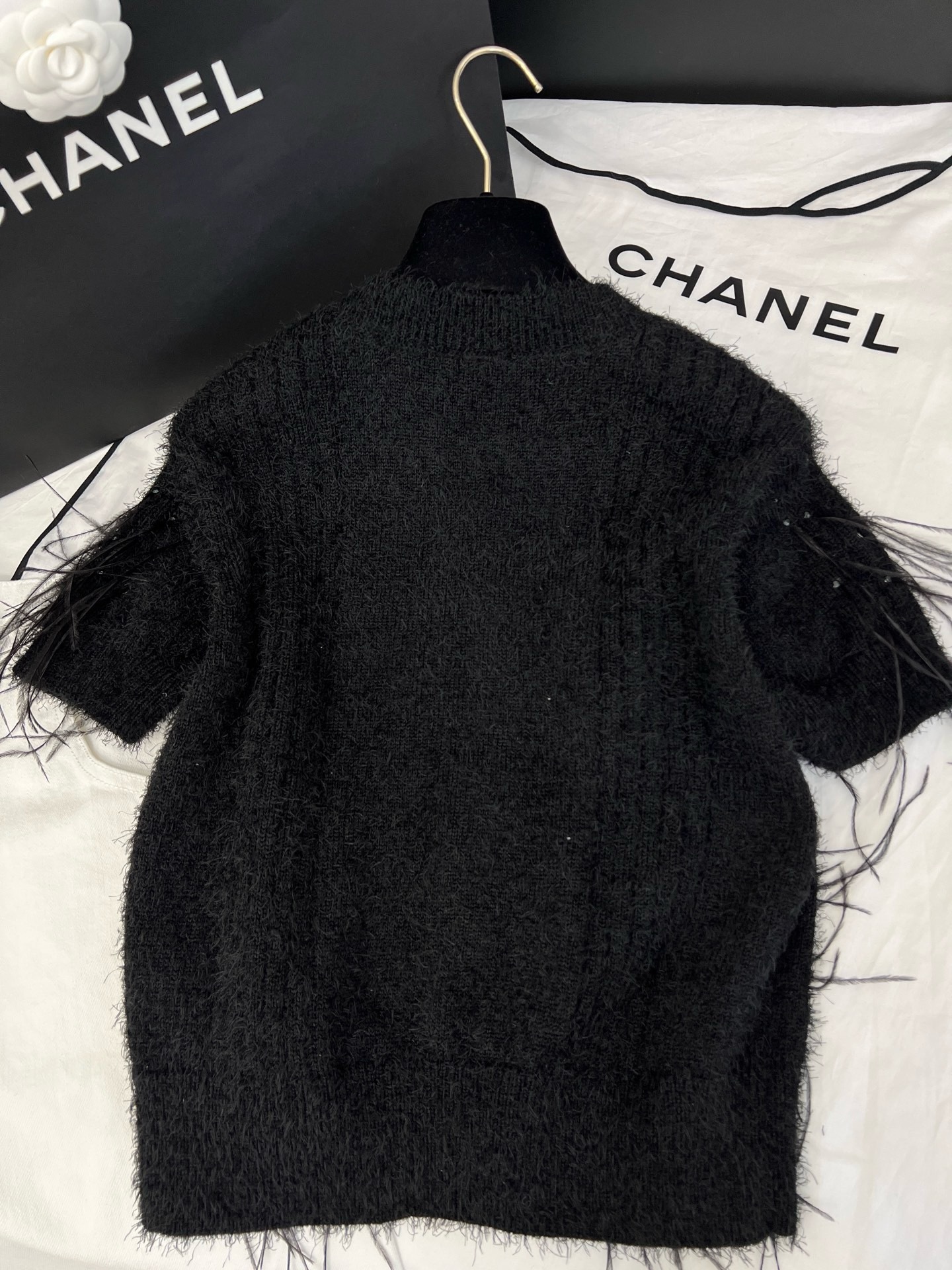 IMG_6956-1743738313325