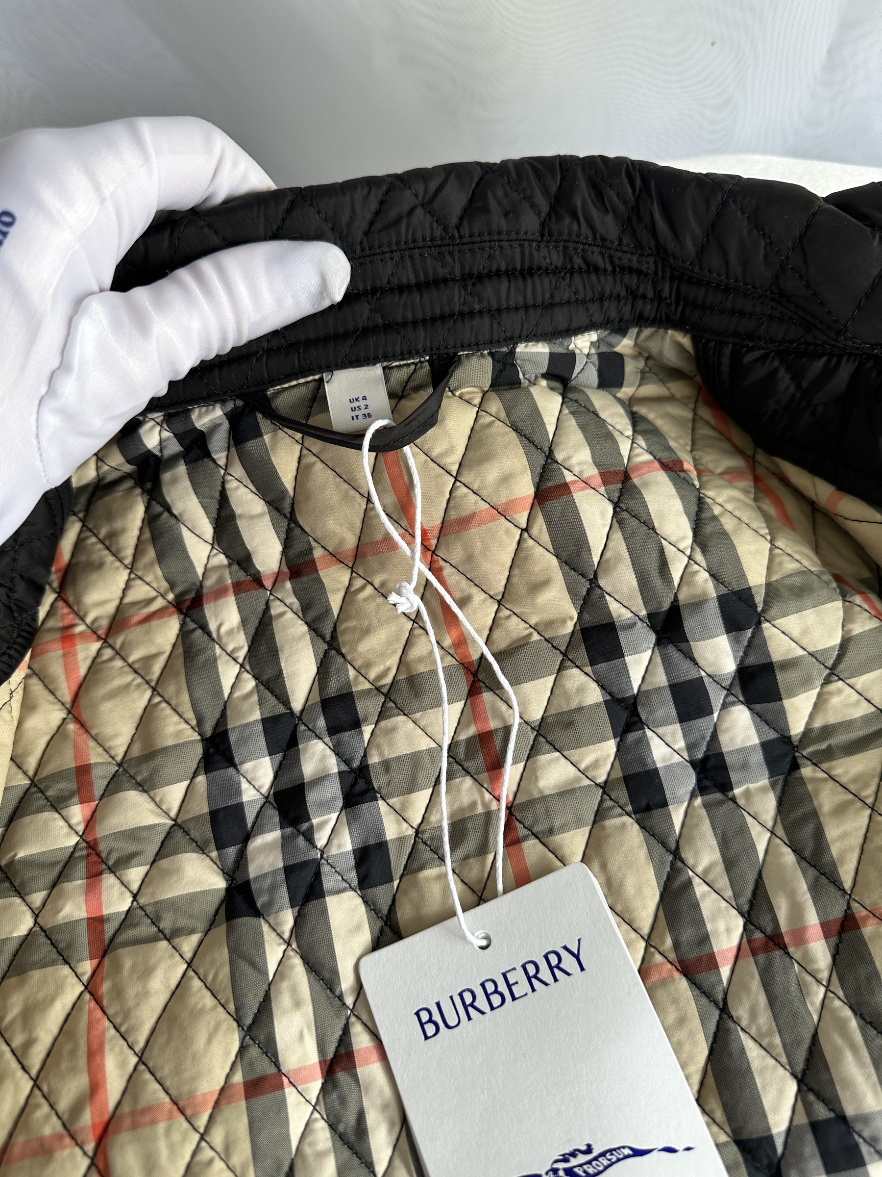 IMG_8316-1744294892573