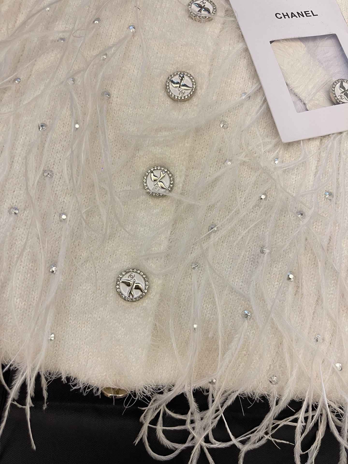 image_72F8BB27-5A92-4DB4-A459-BC4A018DEFA5_1745327665