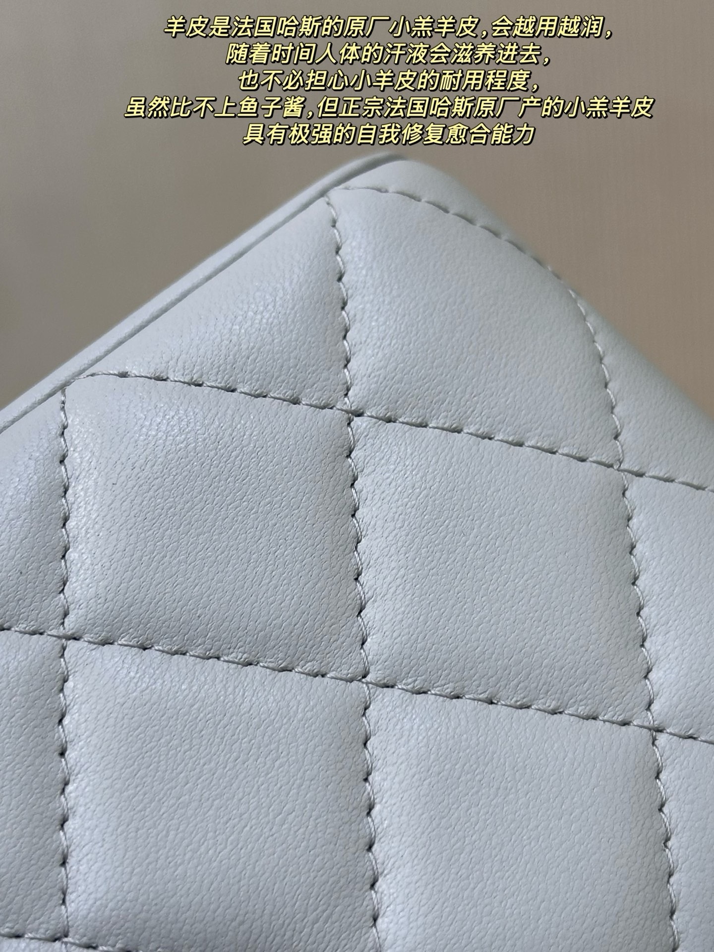 image_0CA1B384-69D9-4409-BD53-341BBFA7FA96_1745931656