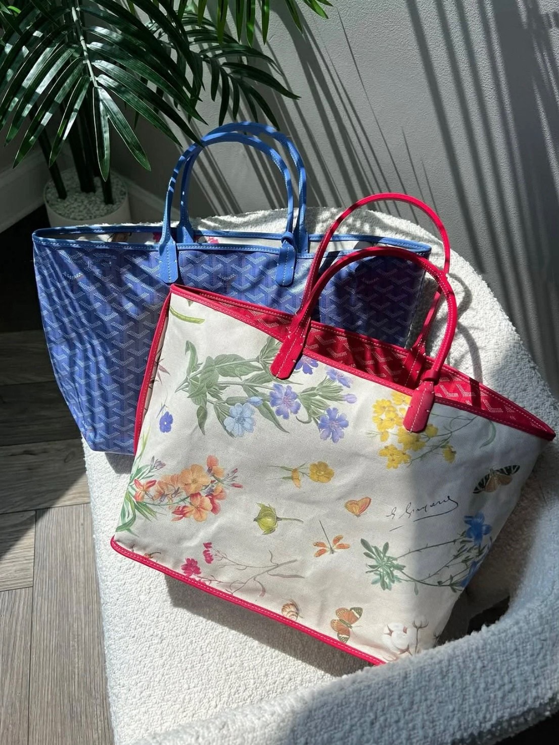 image_F9615AB3-B4D5-4690-9E90-DD81411C8DB0_1746244590