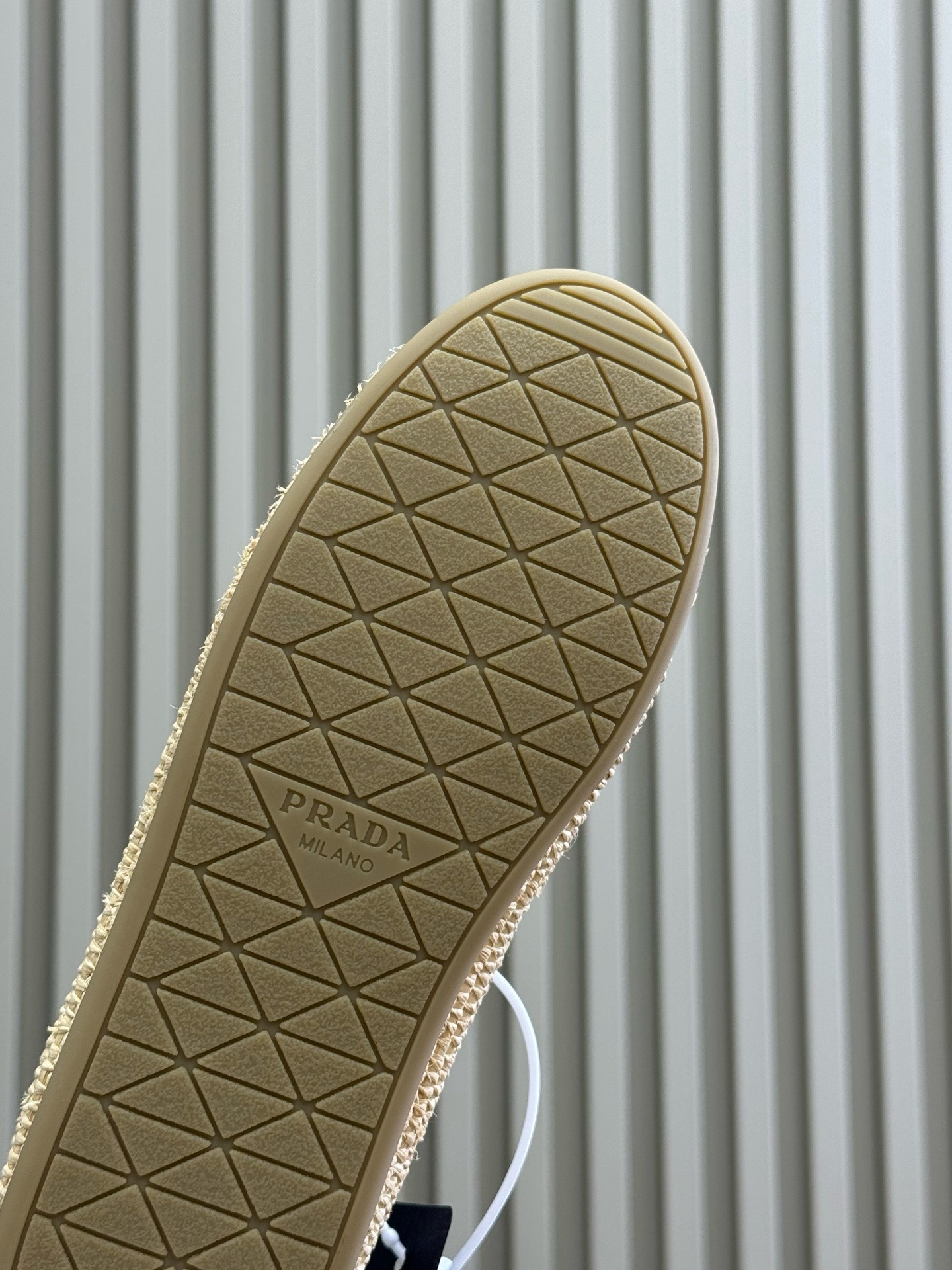 image_7373387A-960B-46AB-AADD-81534CCA3BB7_1746779043